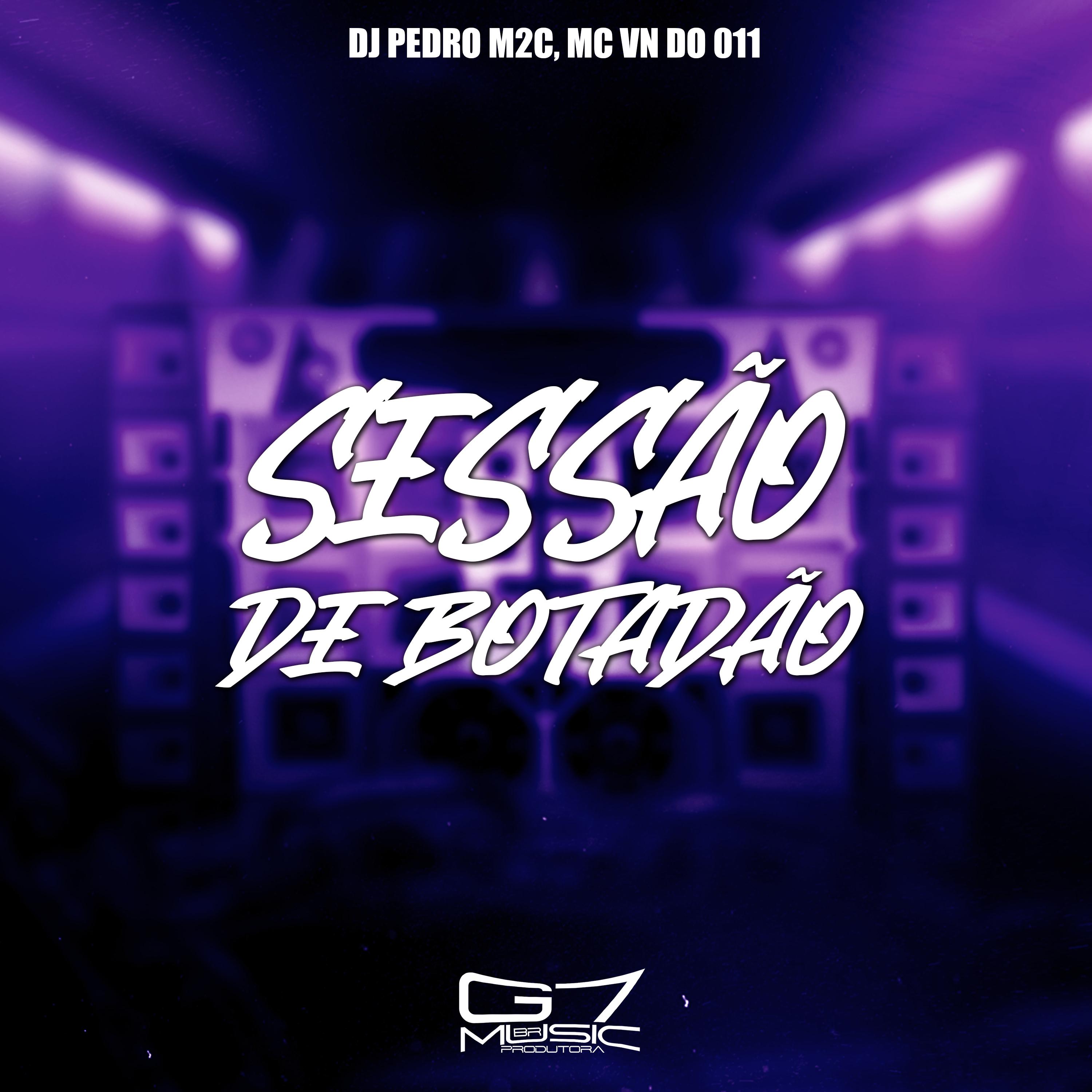 Постер альбома Sessão de Botadão