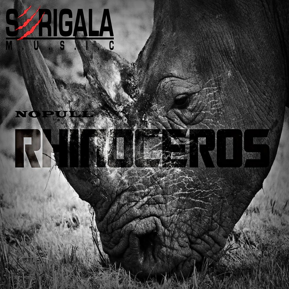 Постер альбома Rhinoceros