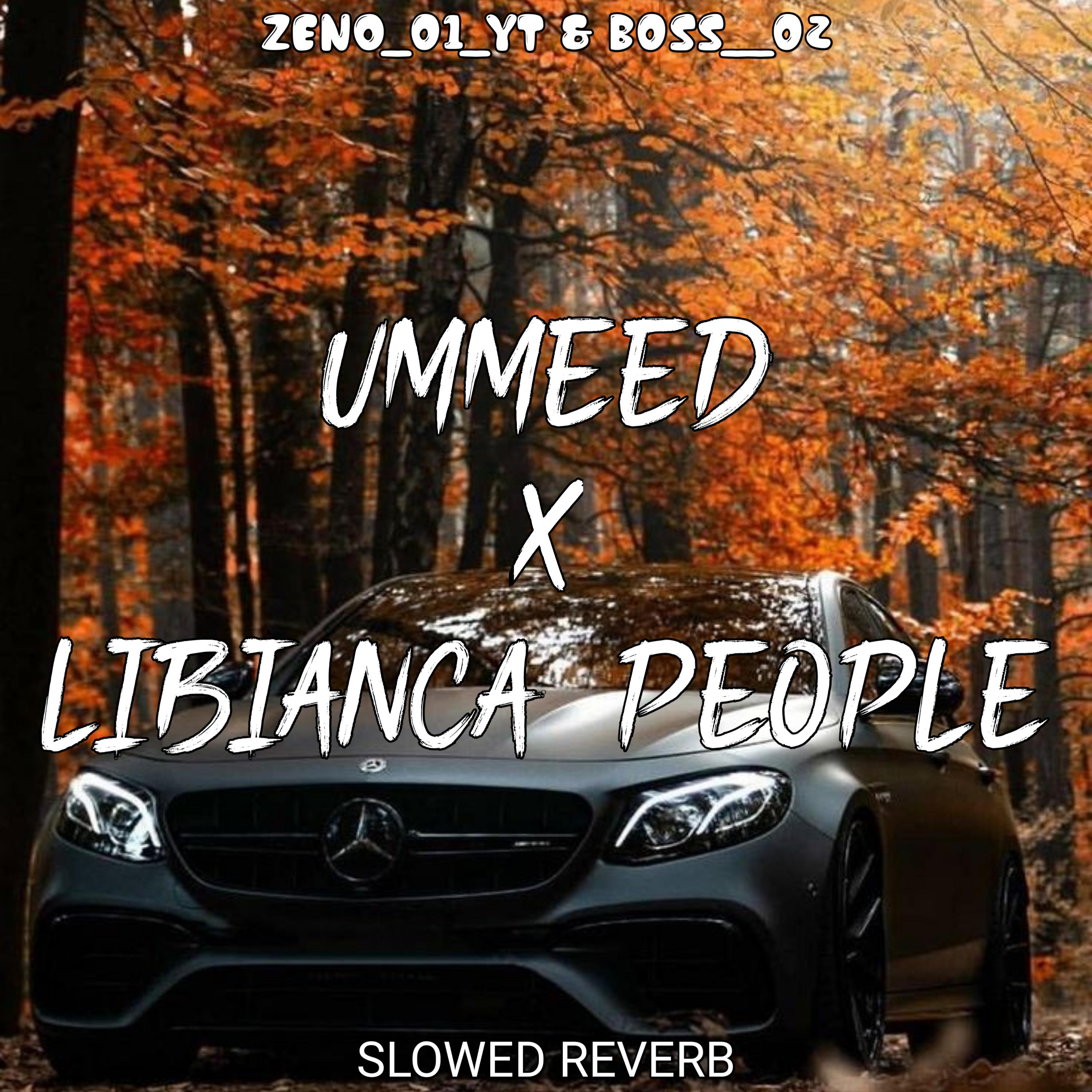 Постер альбома Libianca (People) X Ummeed