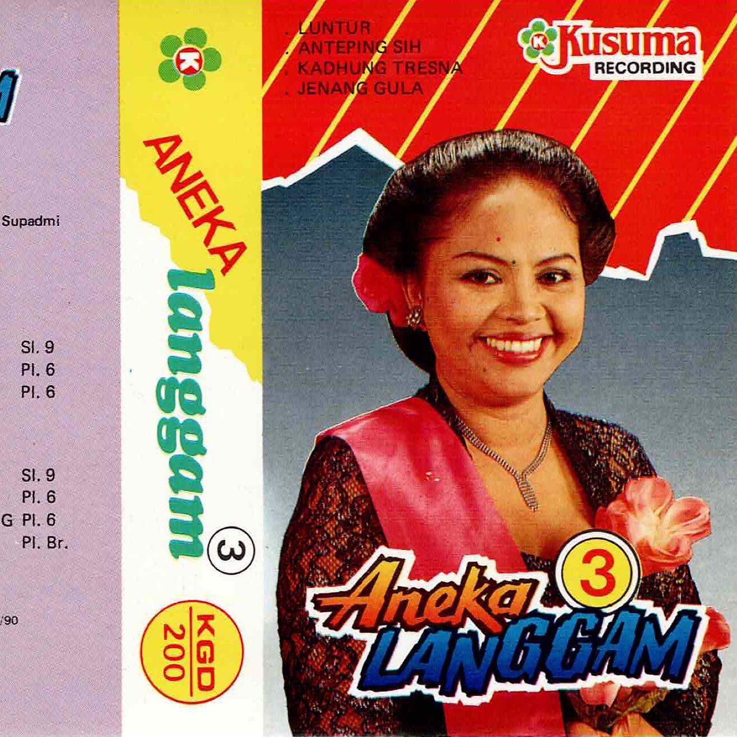 Постер альбома Aneka Langgam Jawa Anik Sunyahni - Luntur, Vol. 3