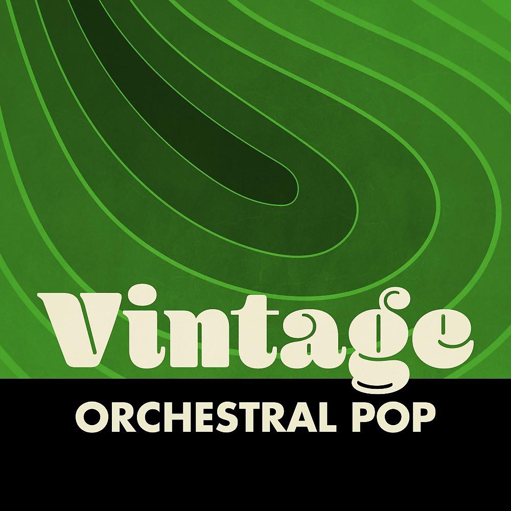 Постер альбома Vintage Orchestral Pop