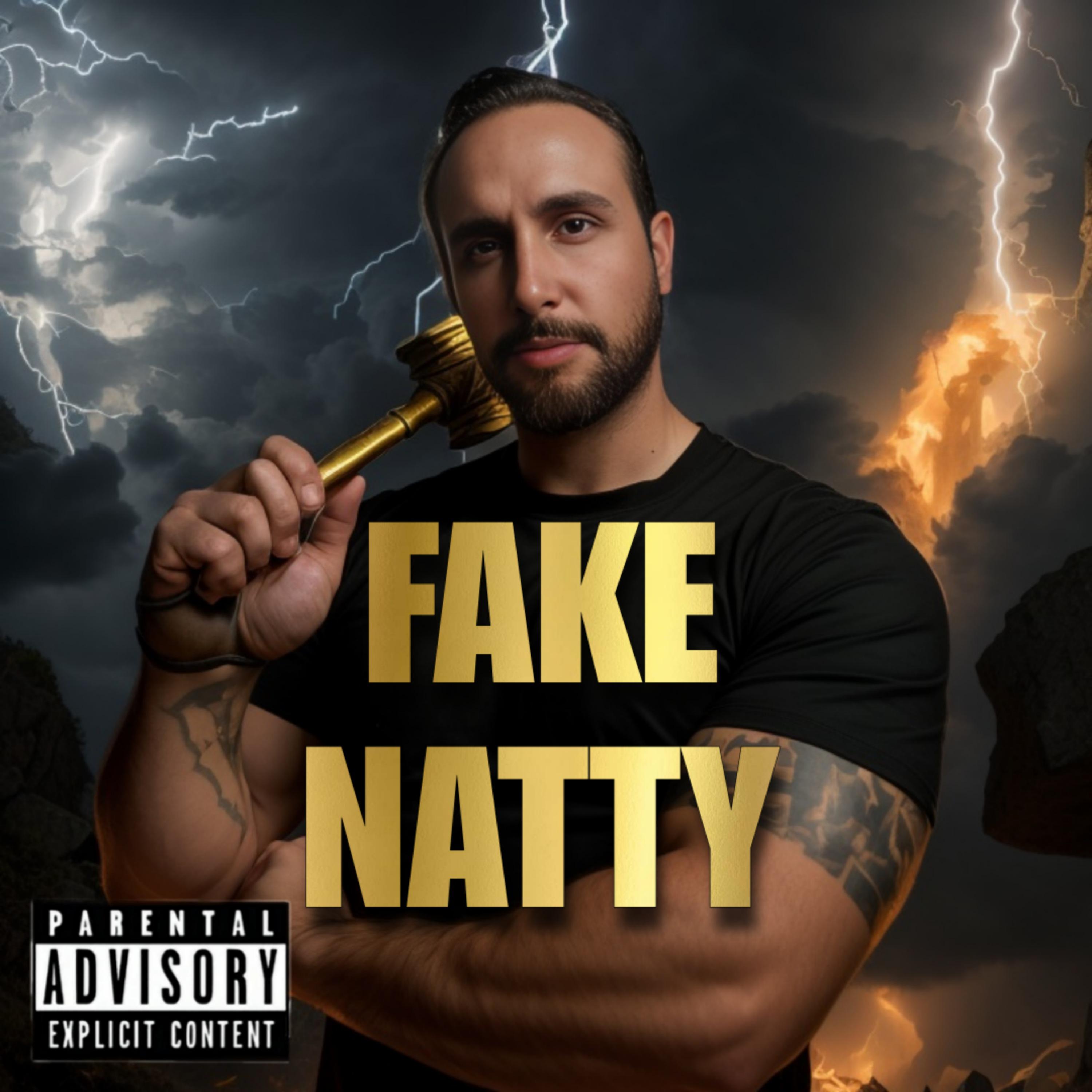 Постер альбома Fake Natty