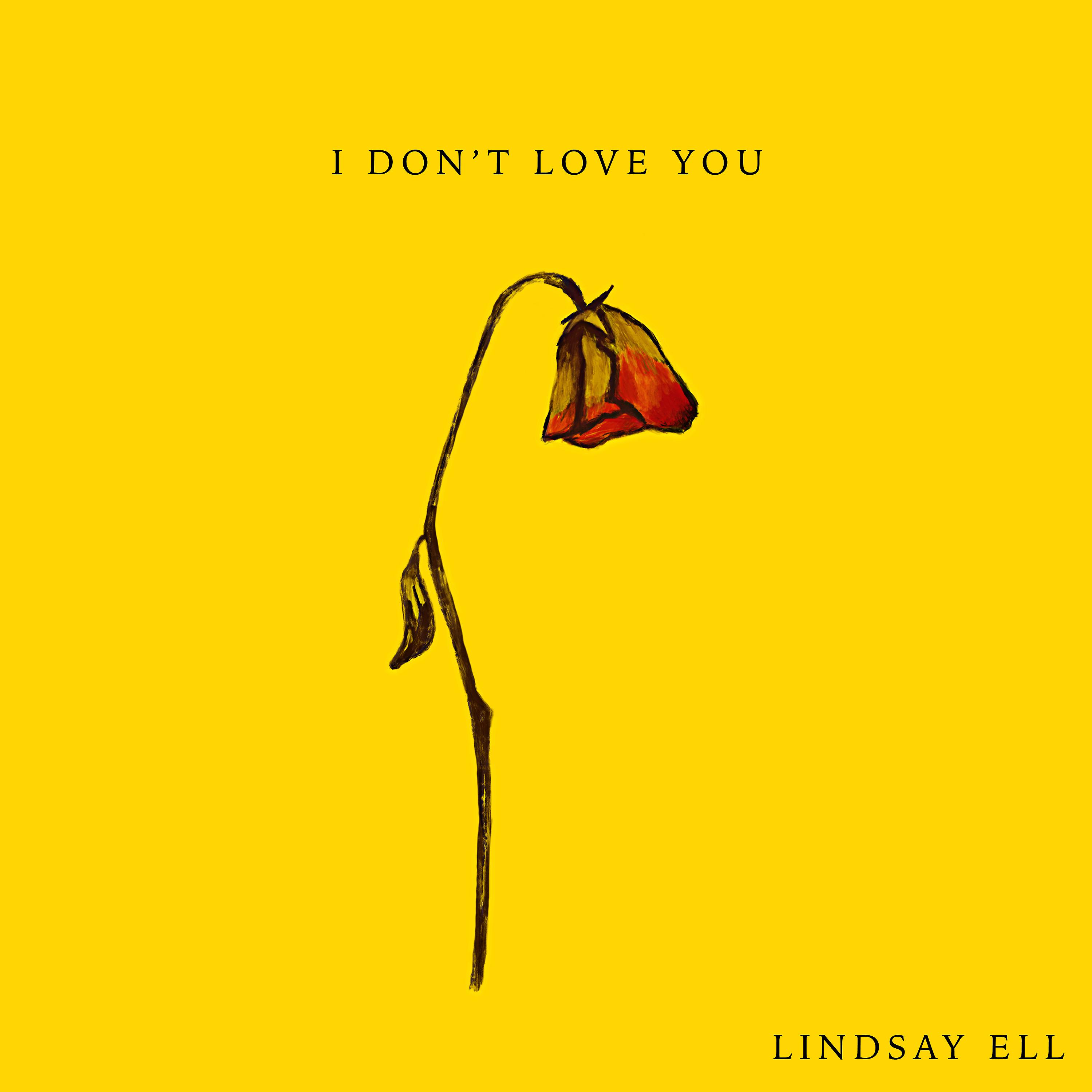 Постер альбома I Don't Love You