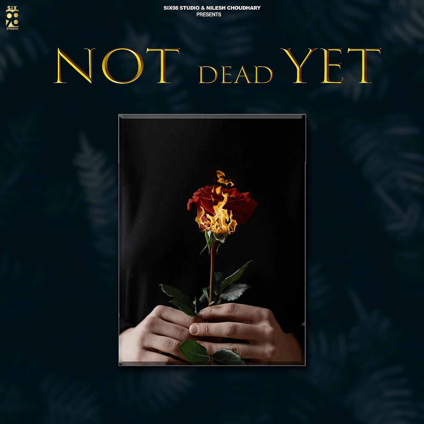 Постер альбома Not Dead Yet
