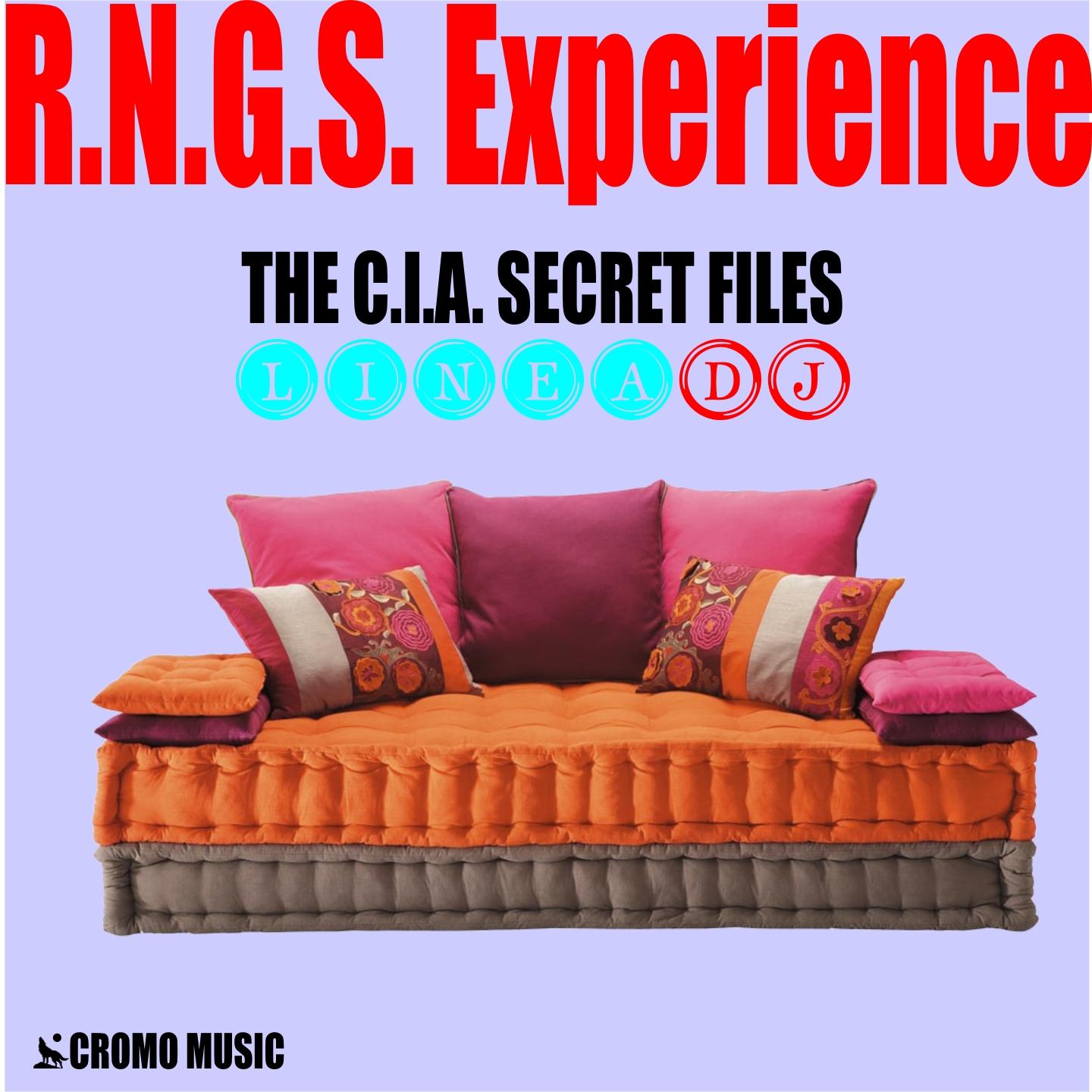 Постер альбома The C.I.A. Secret Files
