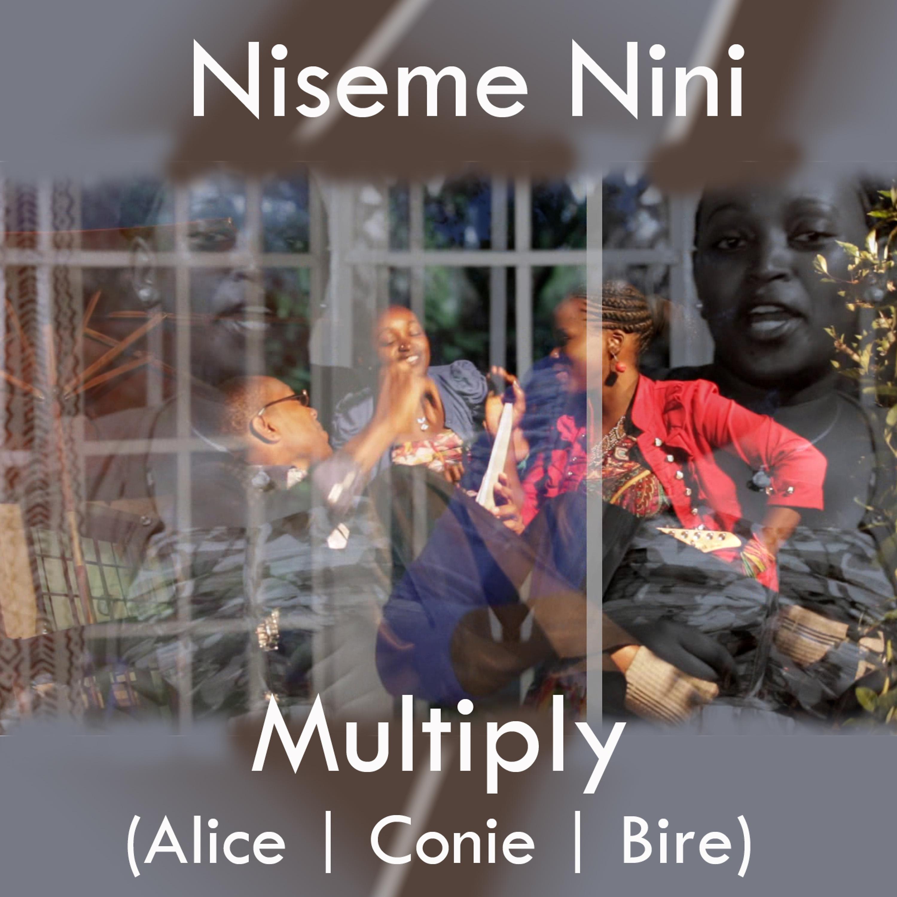Постер альбома Niseme Nini