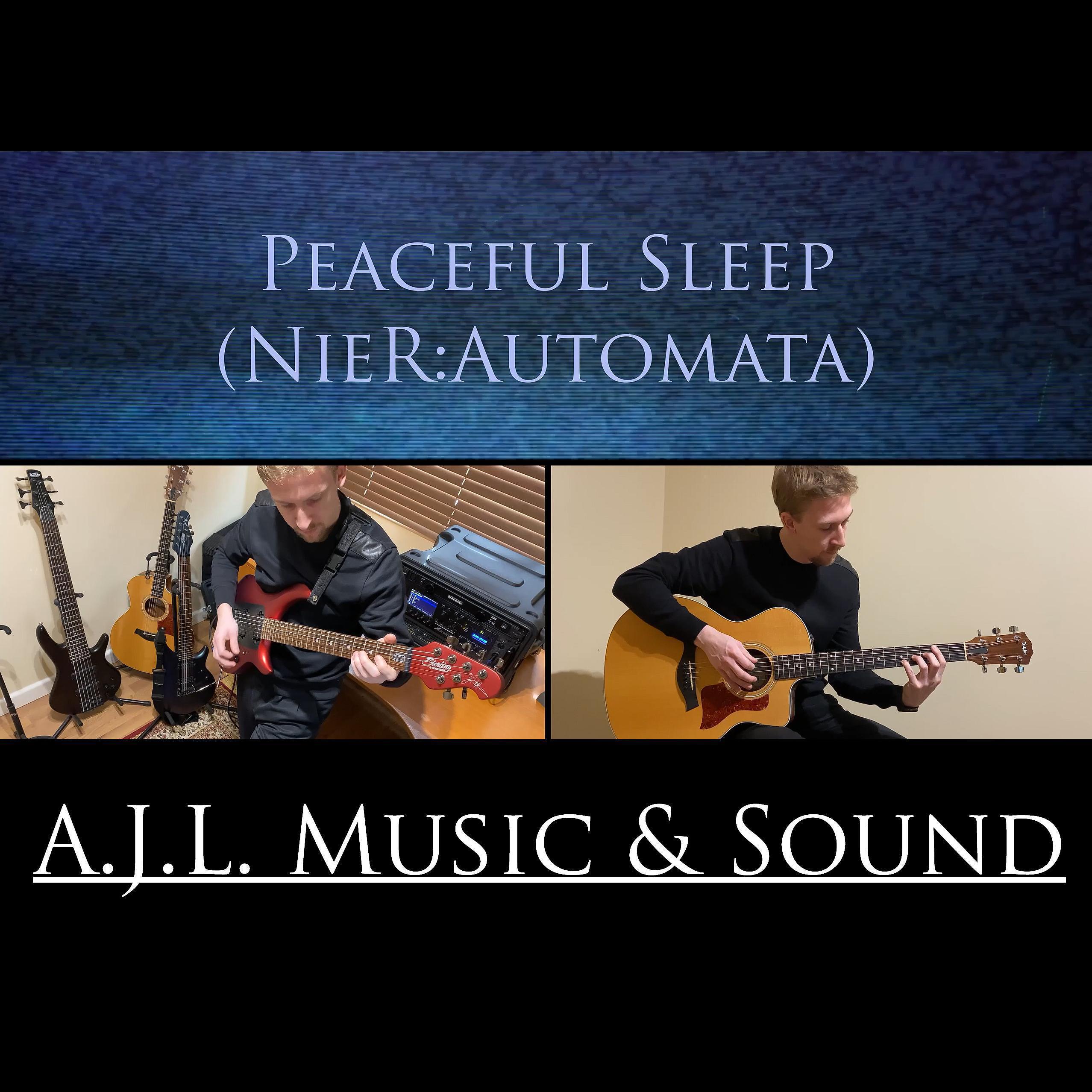 Постер альбома Peaceful Sleep - Nier Automata (Cover)