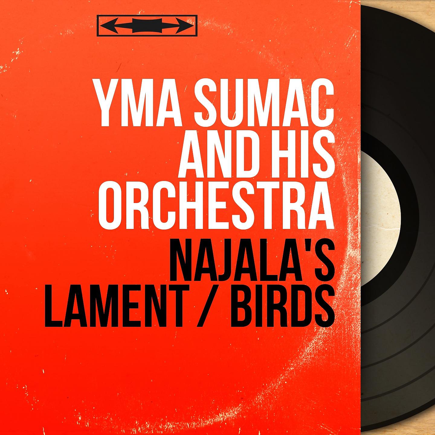 Постер альбома Najala's Lament / Birds
