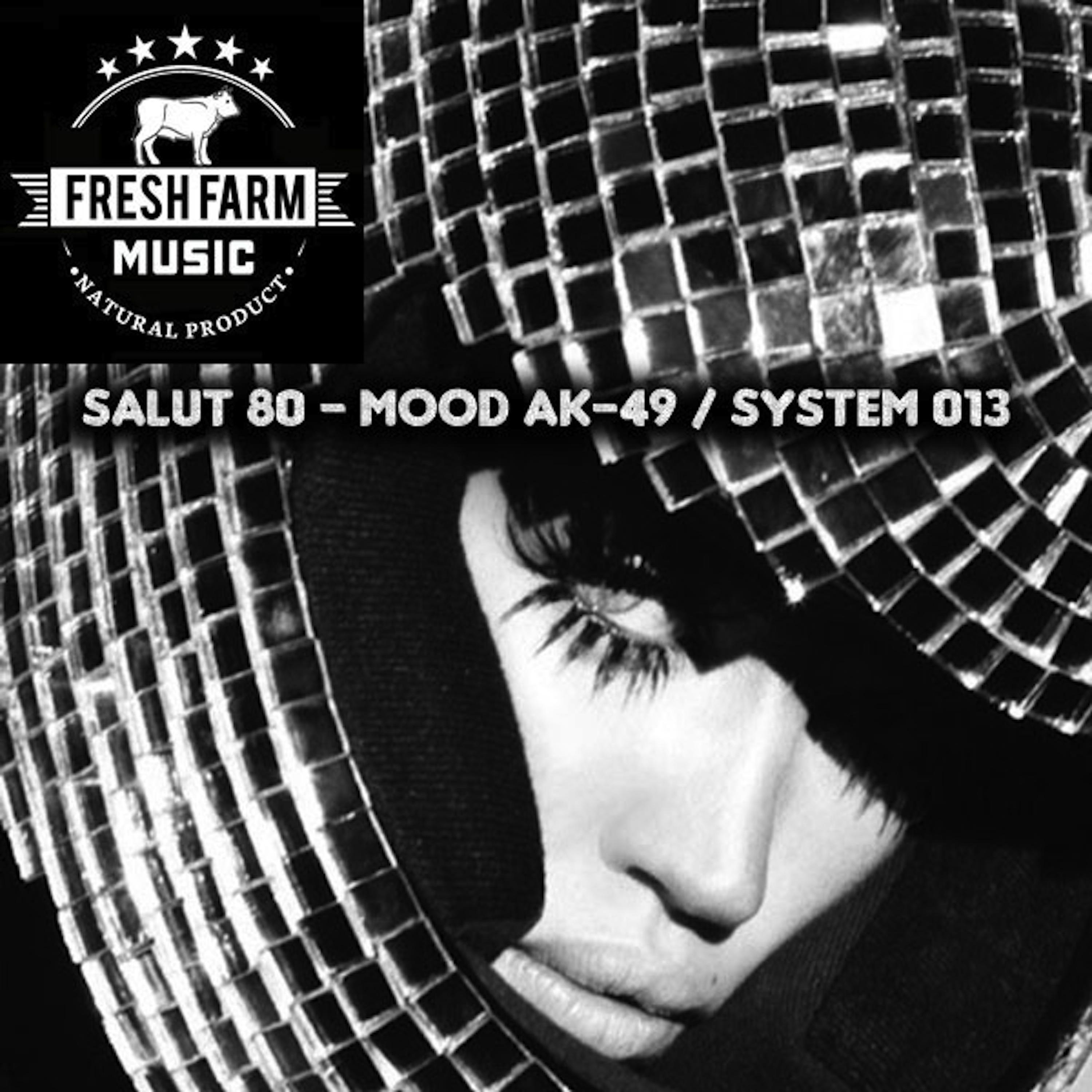 Постер альбома Mood Ak-49 / System 013