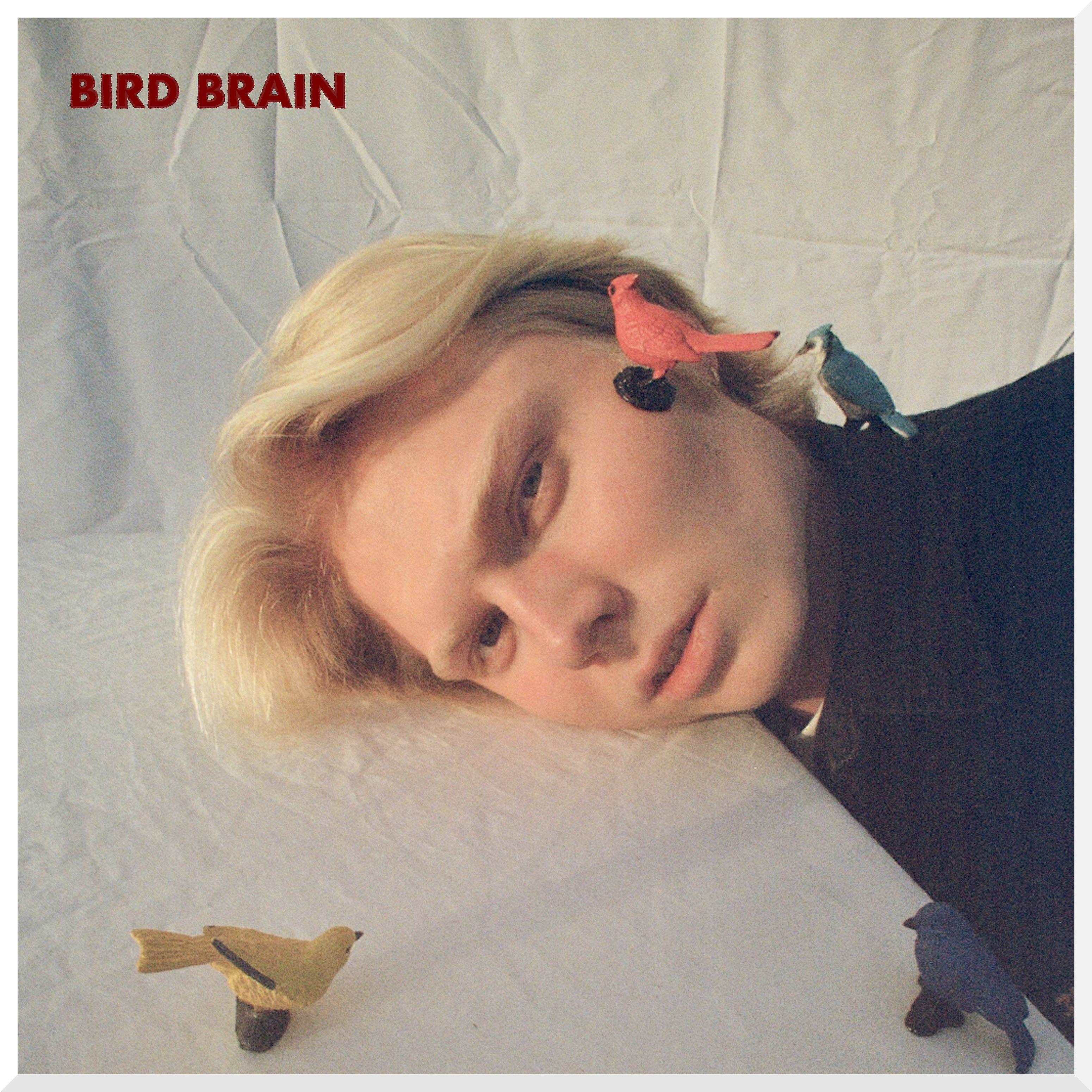 Постер альбома BIRD BRAIN