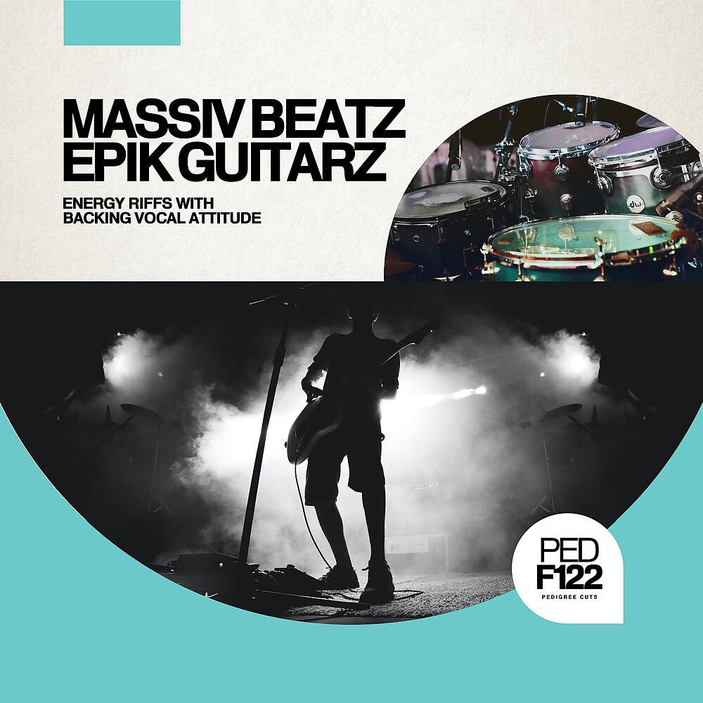 Постер альбома Massiv Beatz Epik Guitarz