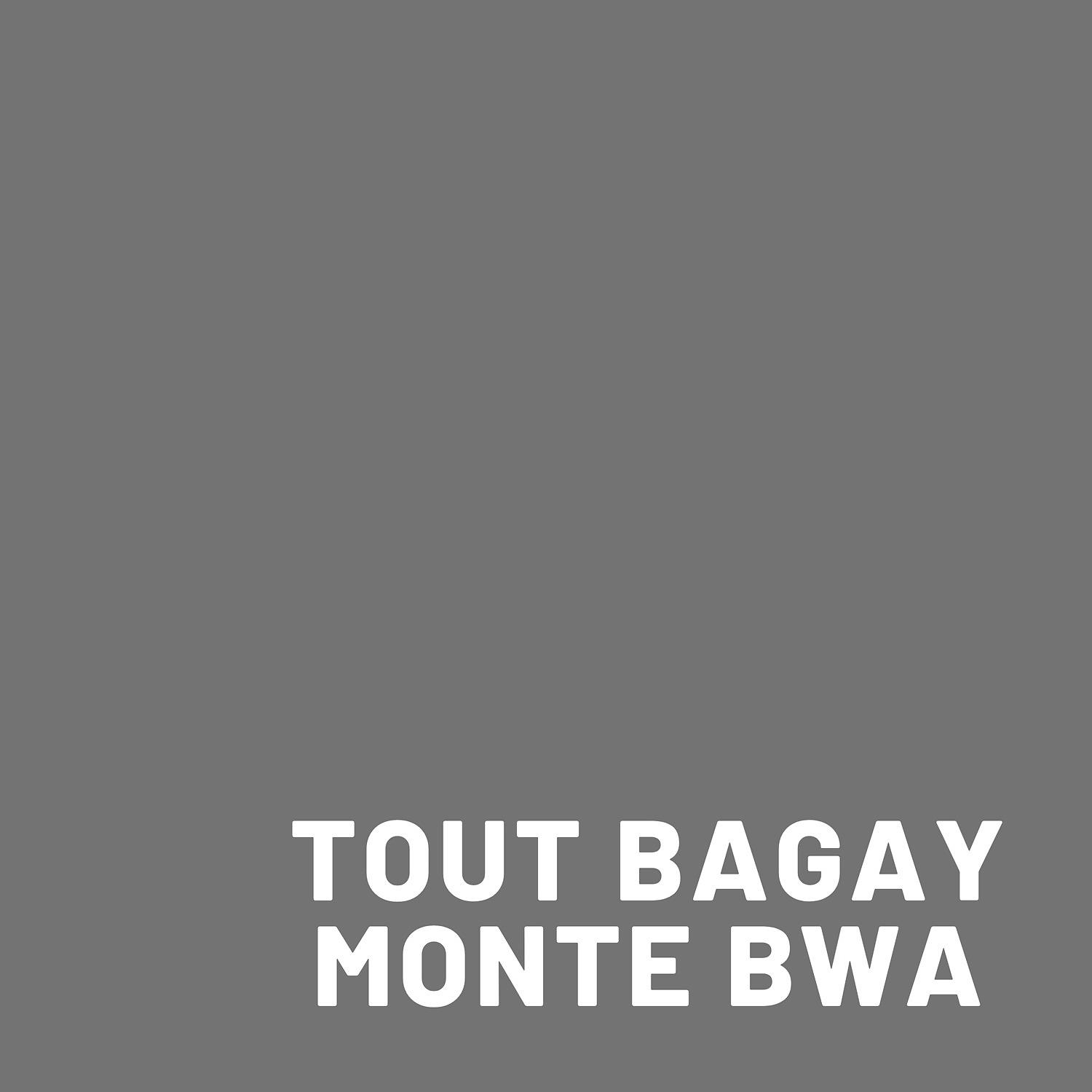 Постер альбома Tout Bagay Monte Bwa