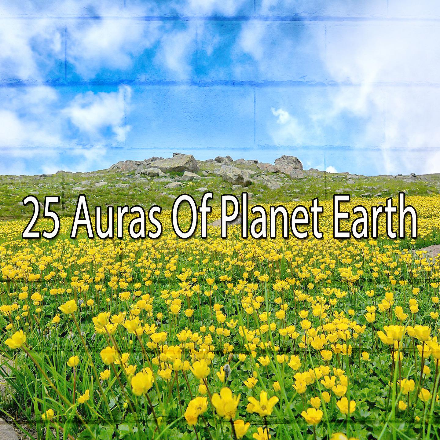 Постер альбома 25 аур планеты Земля