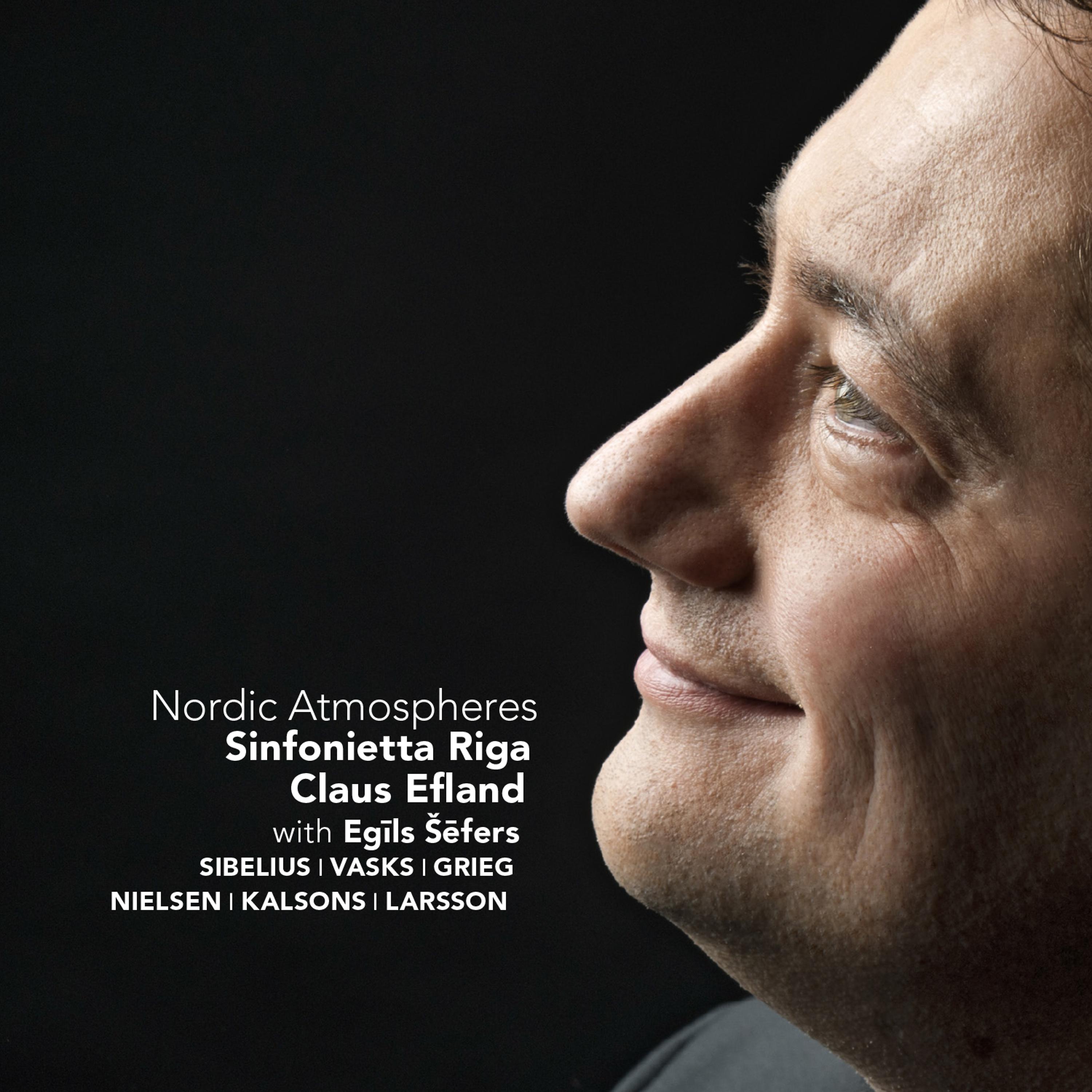 Постер альбома Nordic Atmospheres