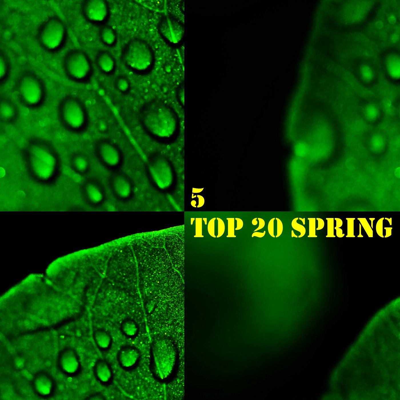 Постер альбома TOP 20 Spring, Vol. 5
