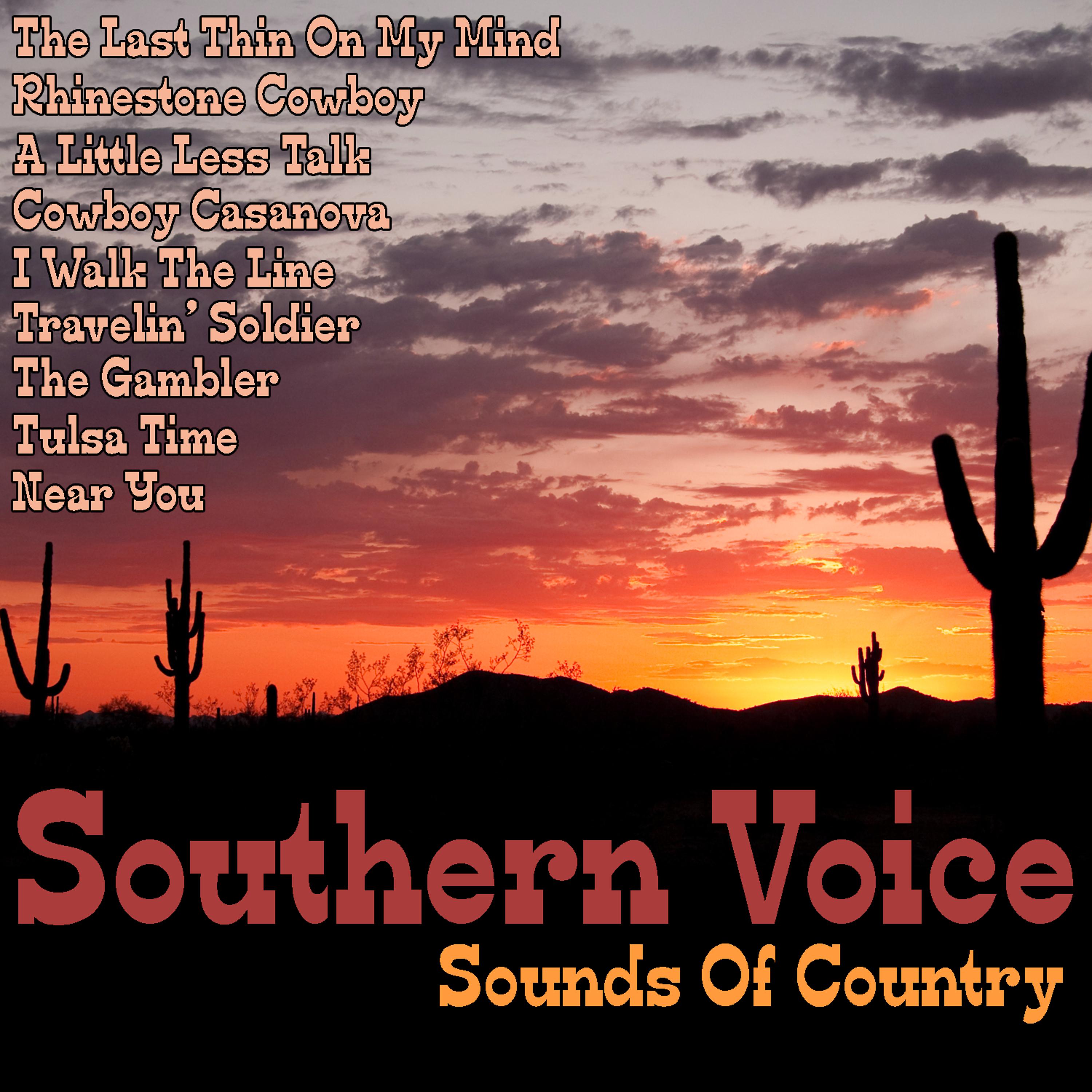 Постер альбома Southern Voice: Sounds Of Country