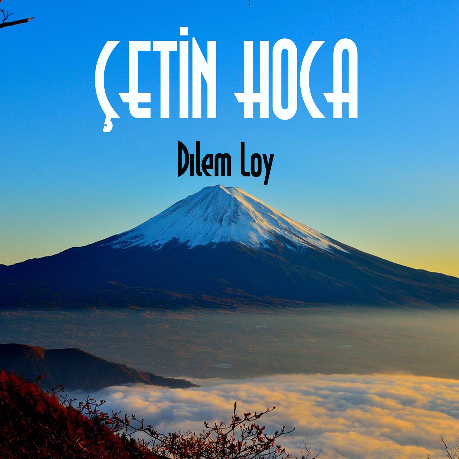Постер альбома Dılem Loy
