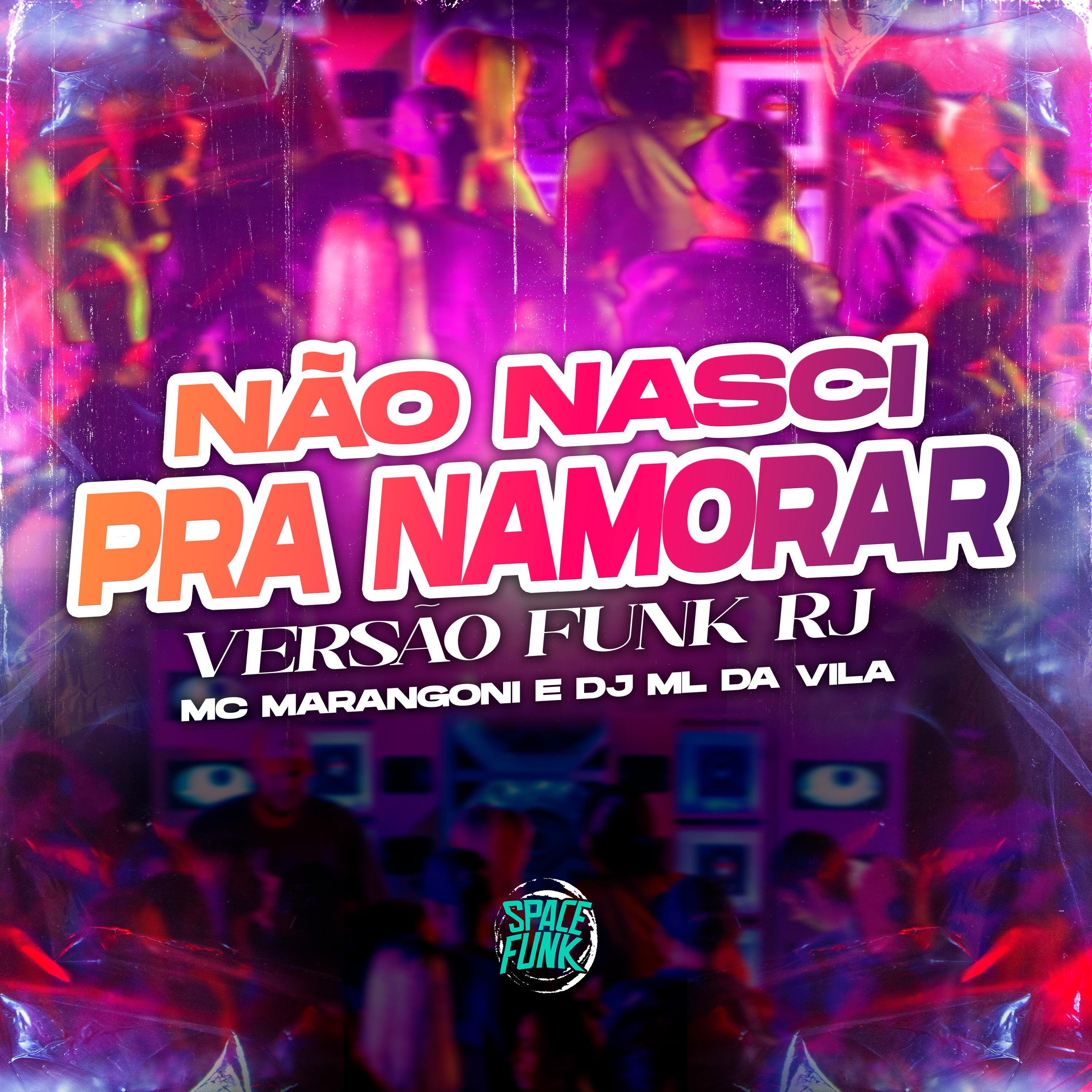 Постер альбома Não Nasci pra Namorar (Versão Funk Rj)