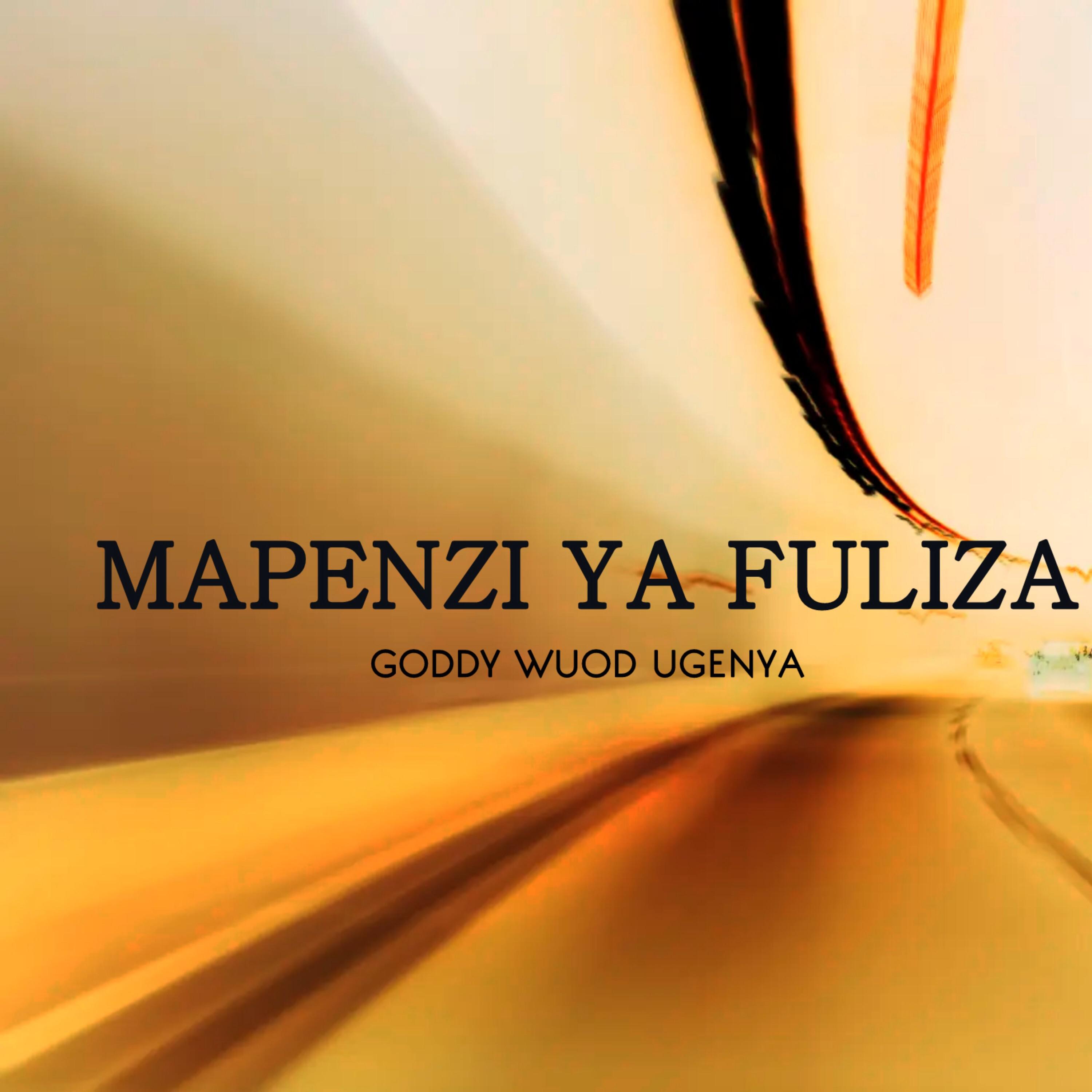 Постер альбома Mapenzi Ya Fuliza