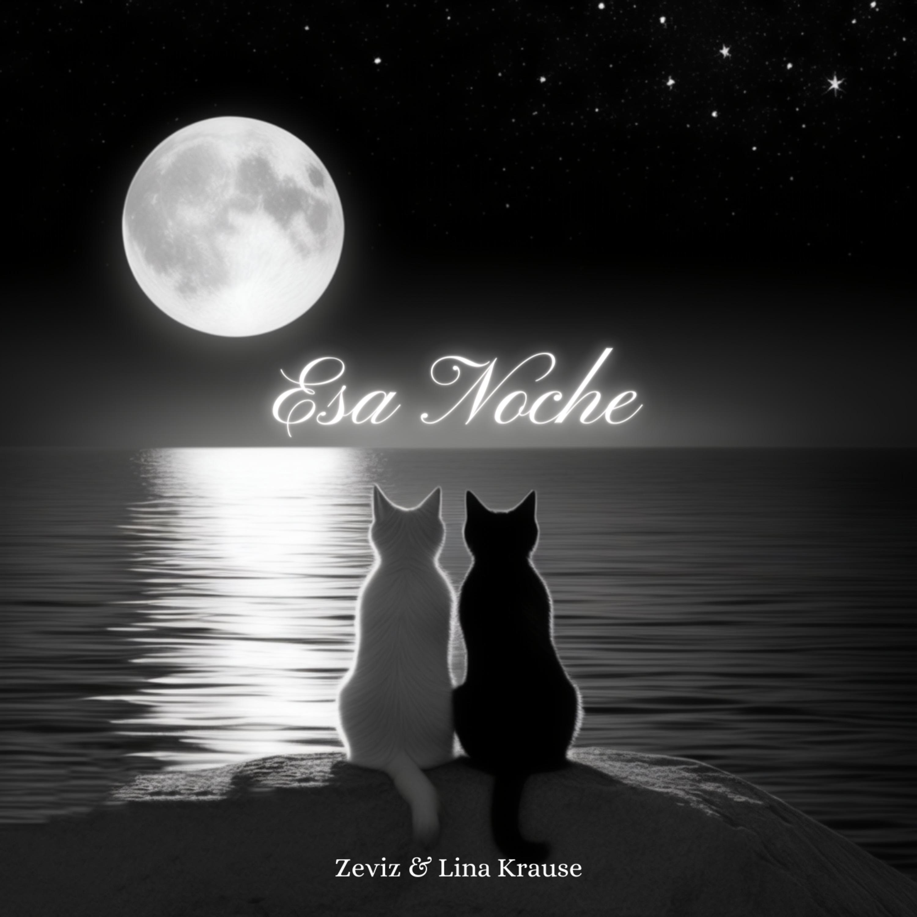 Постер альбома Esa Noche