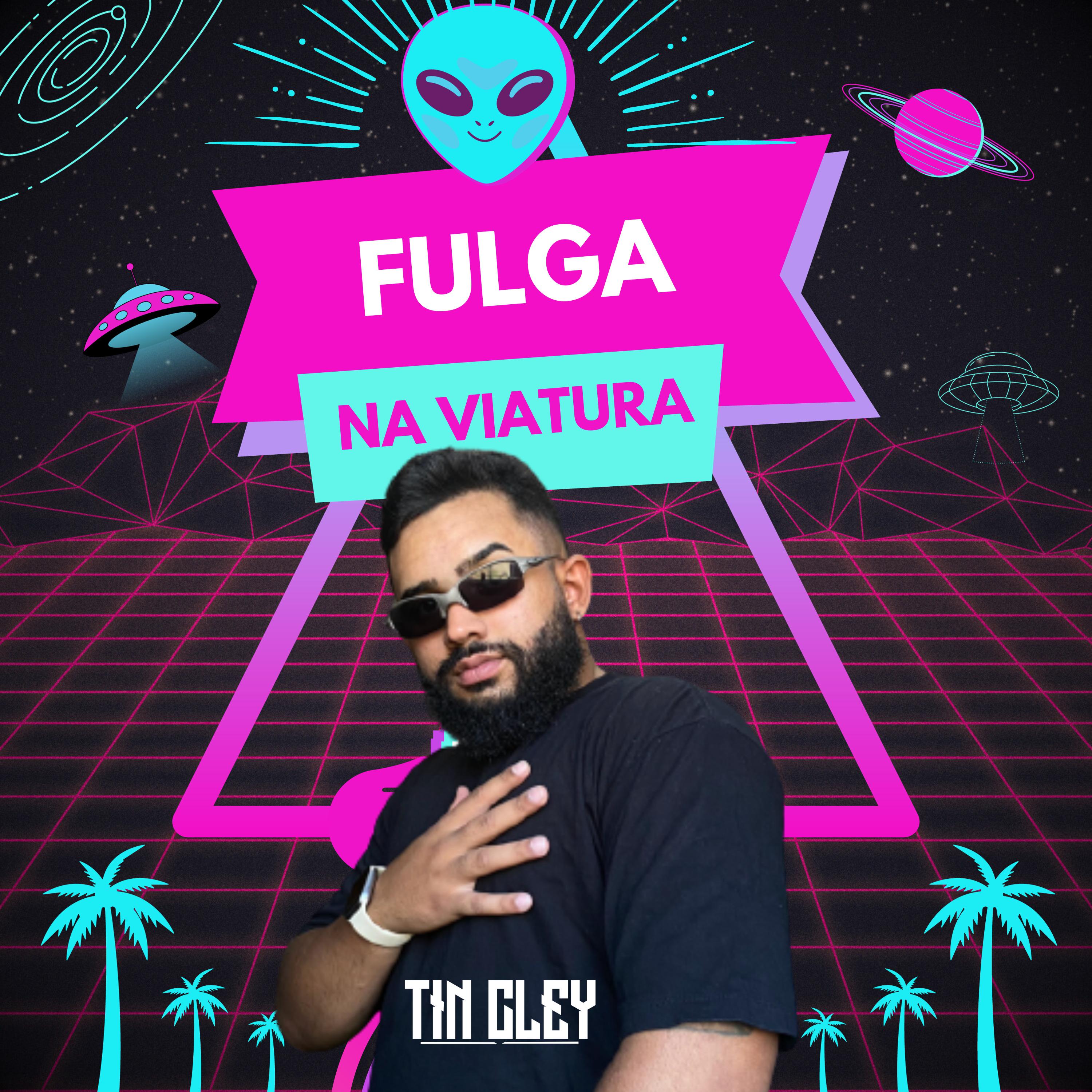 Постер альбома Fulga na Viatura