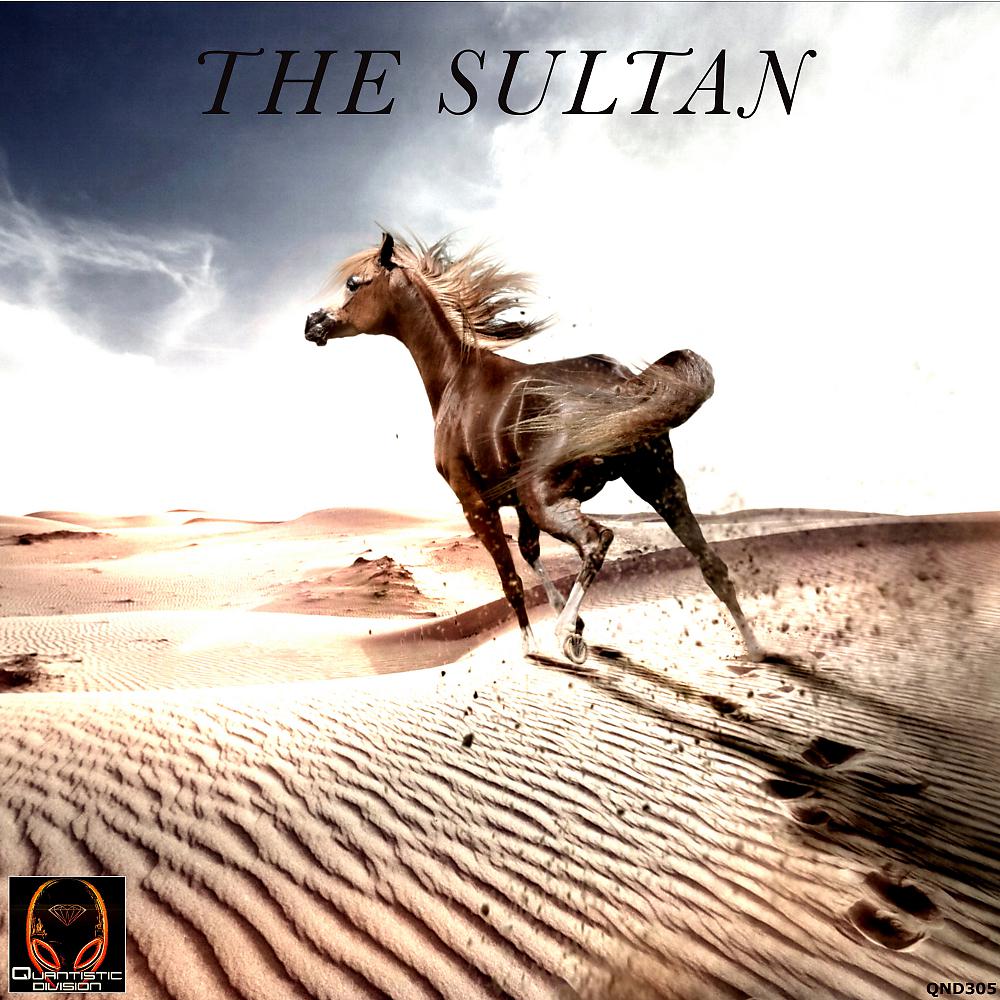 Постер альбома The Sultan