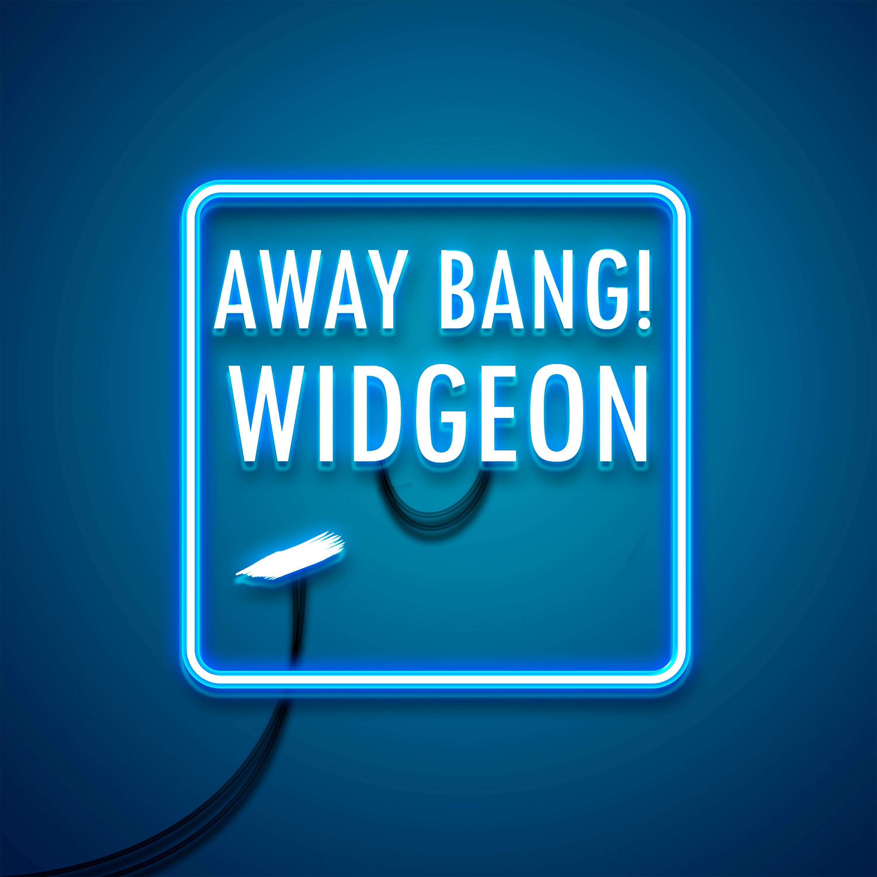 Постер альбома Widgeon