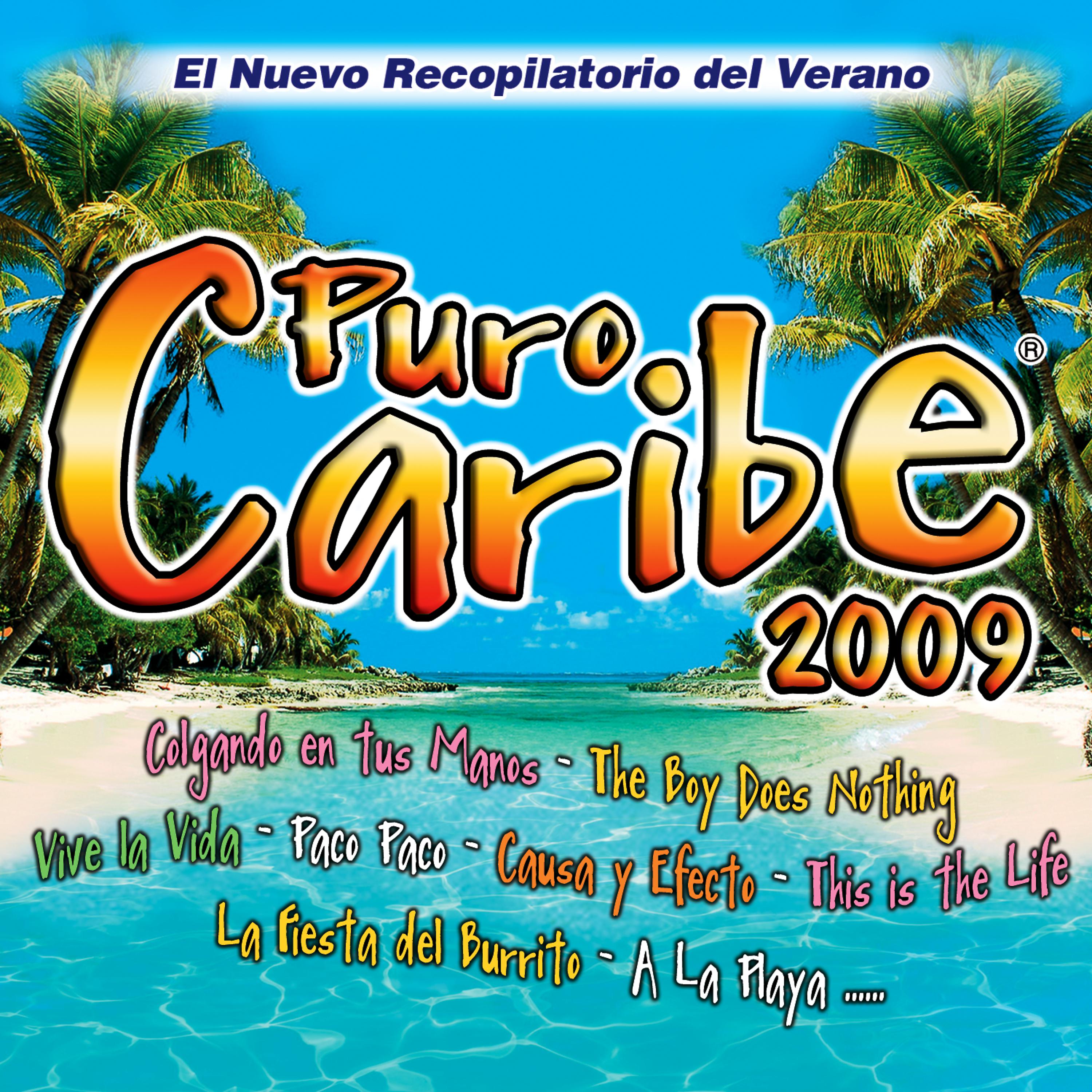 Постер альбома Puro Caribe