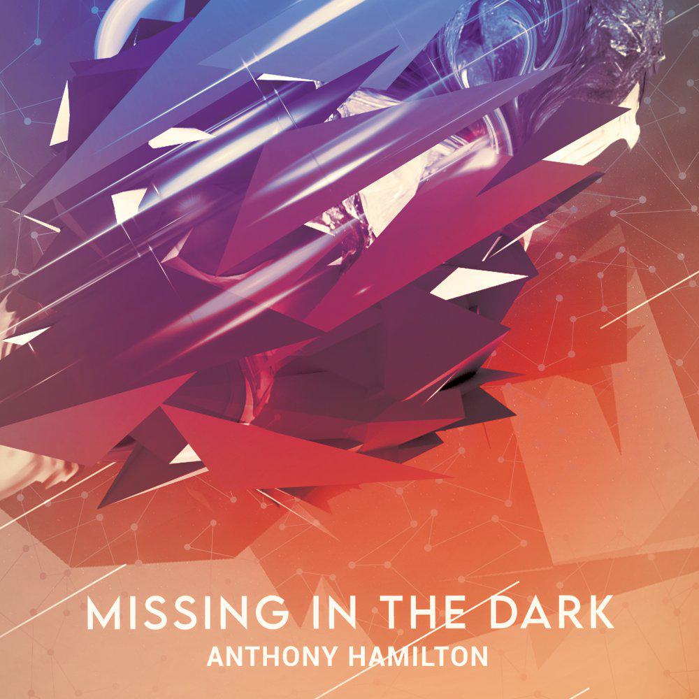 Постер альбома Missing In The Dark