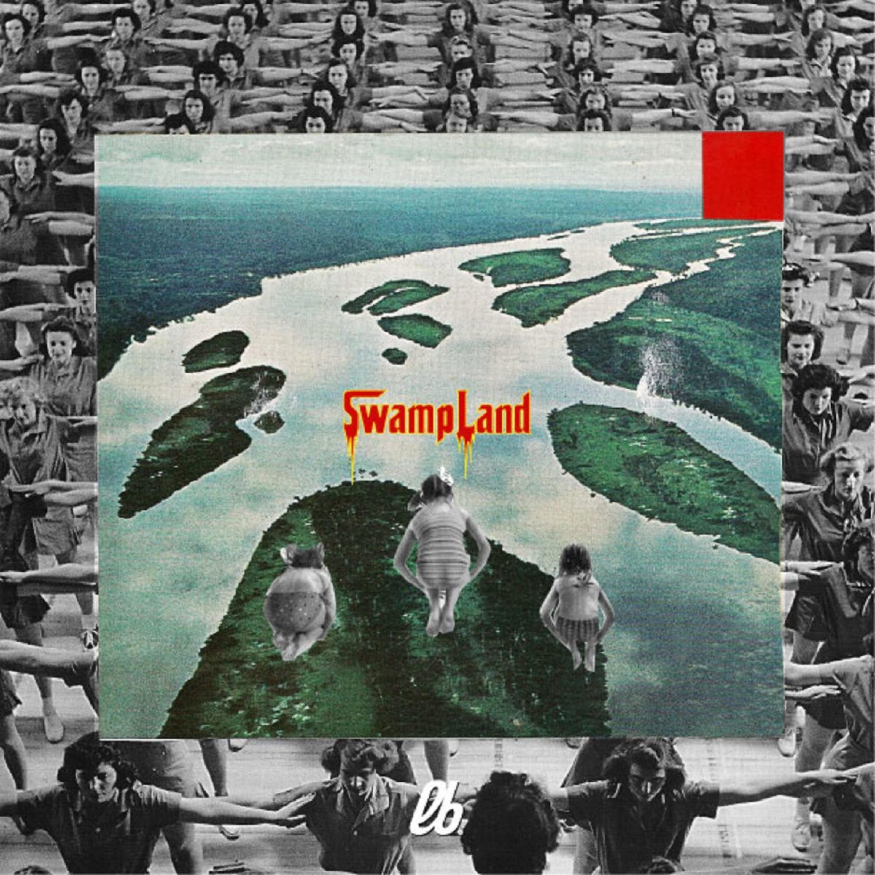Постер альбома Swampland
