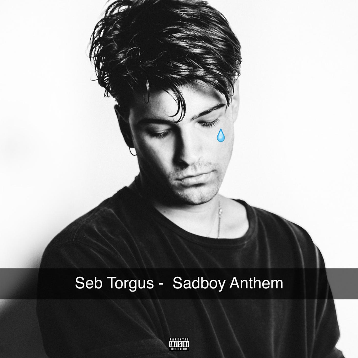 Постер альбома Sadboy Anthem