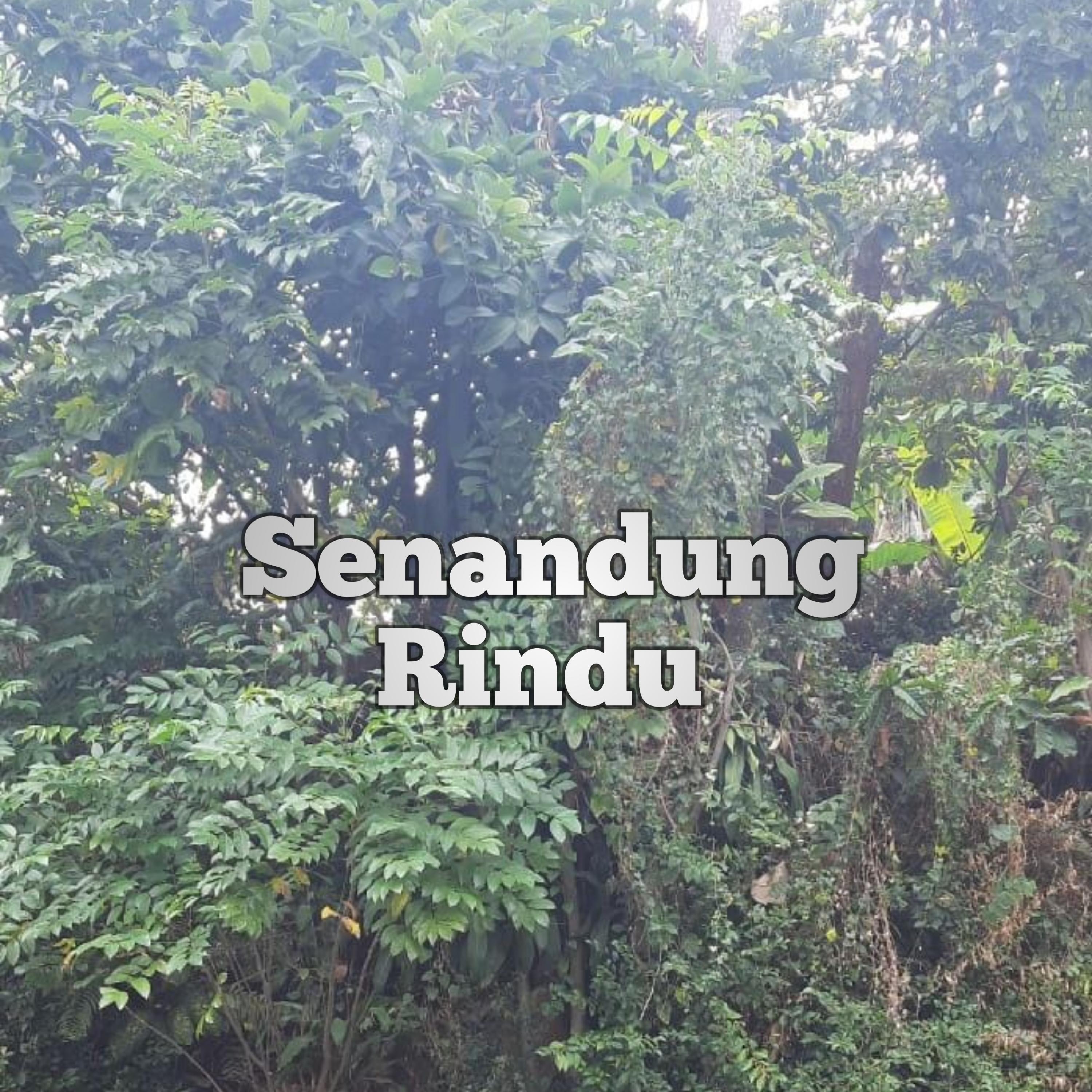 Постер альбома Senandung Rindu