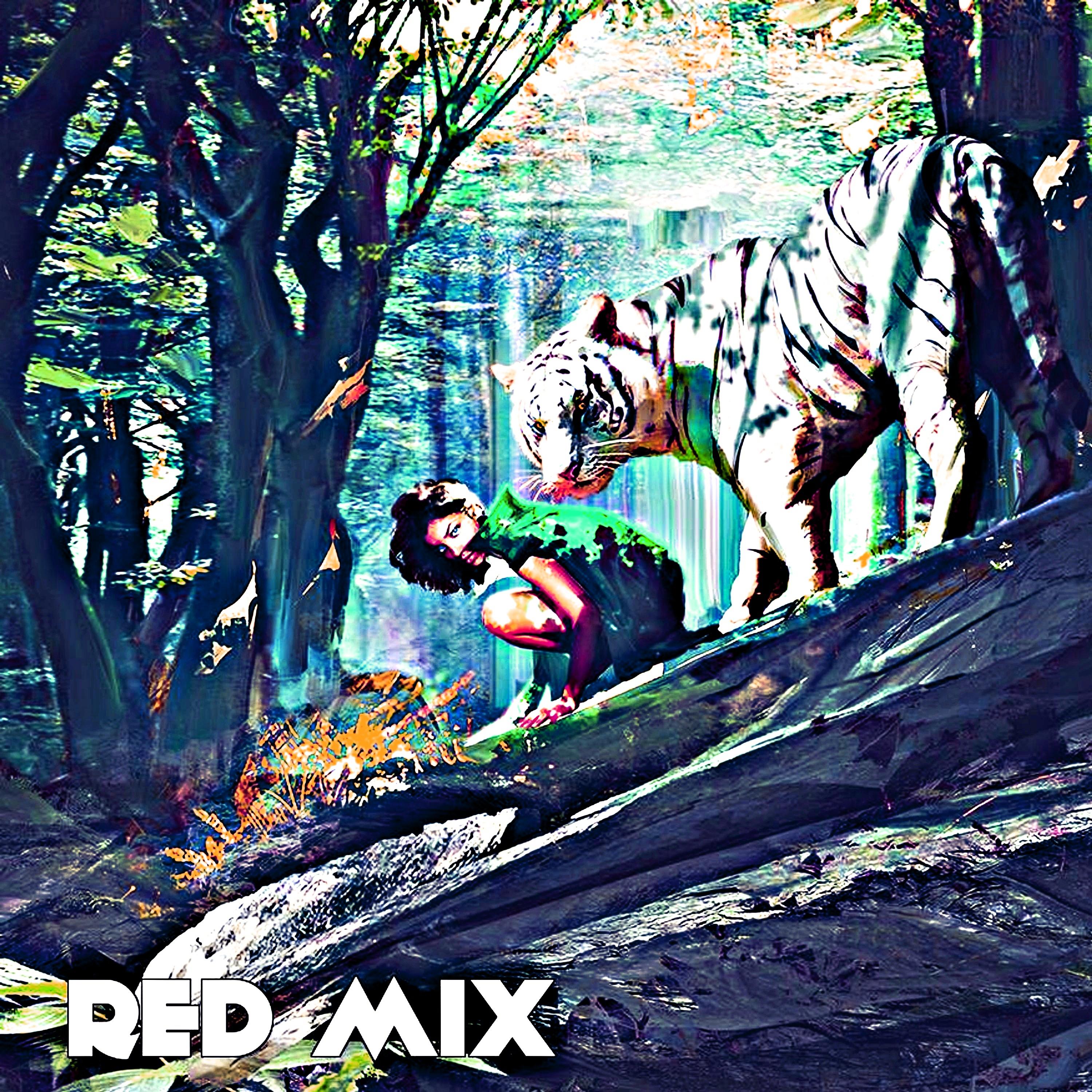 Постер альбома Red Mix