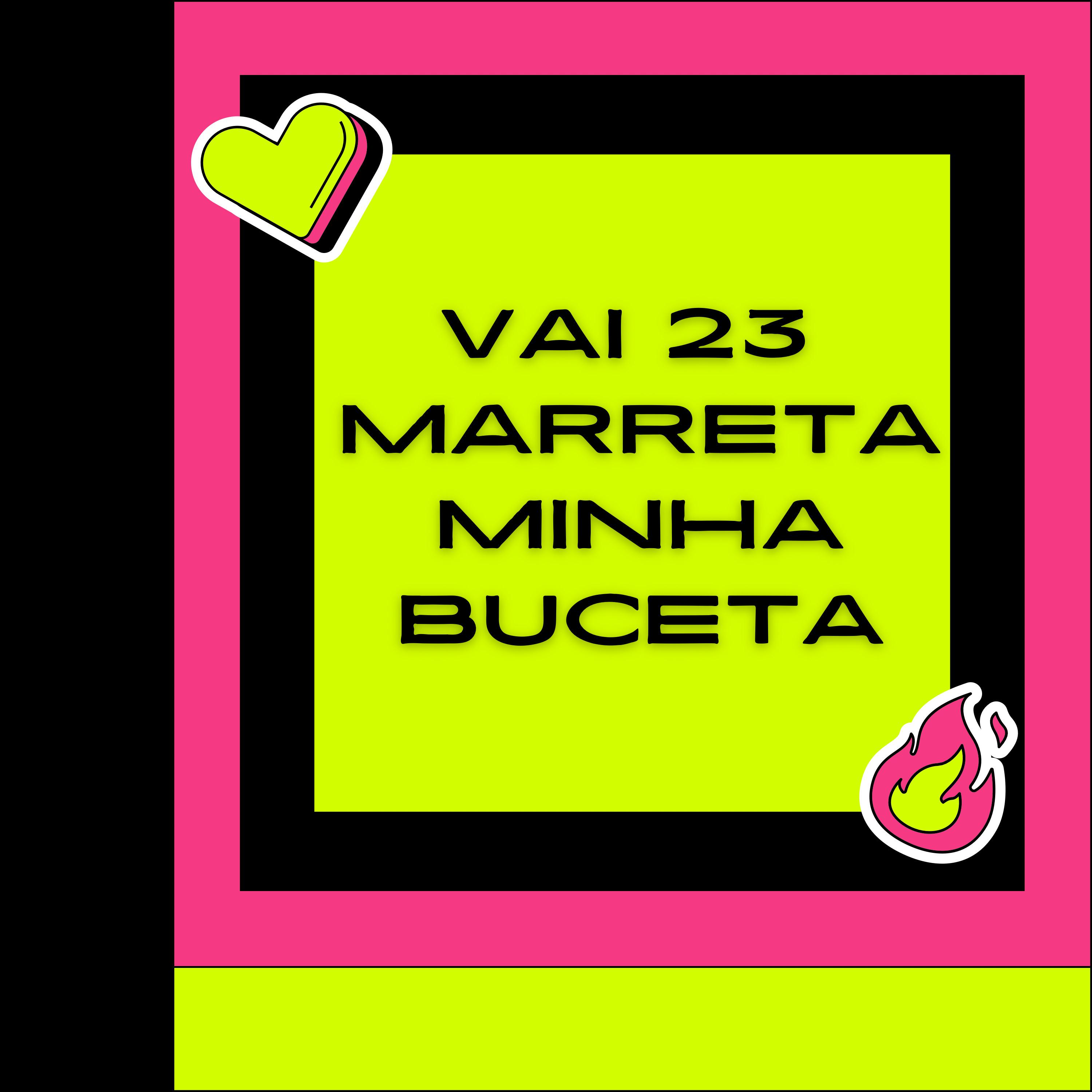 Постер альбома Vai 23 Marreta Minha Buceta