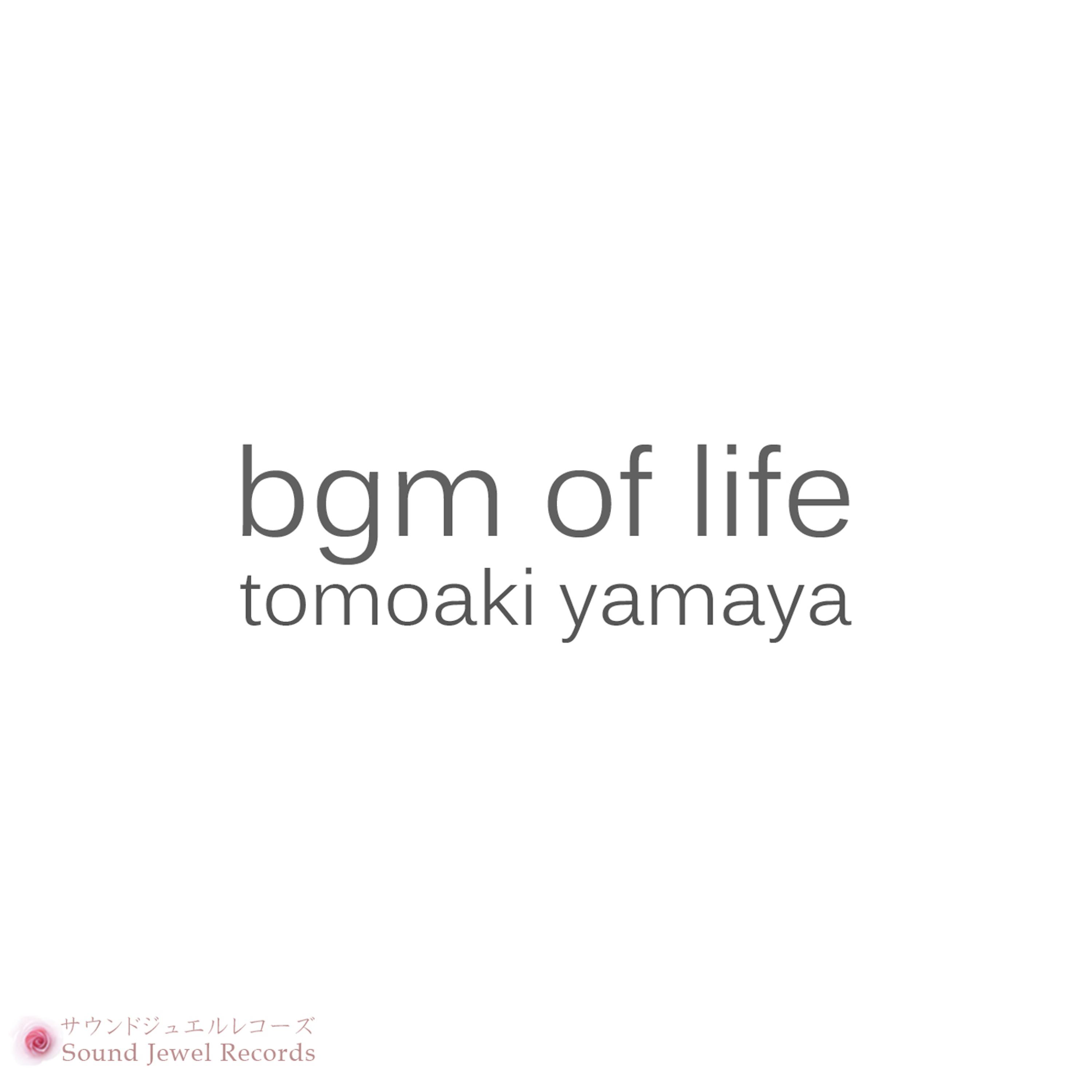 Постер альбома BGM of Life