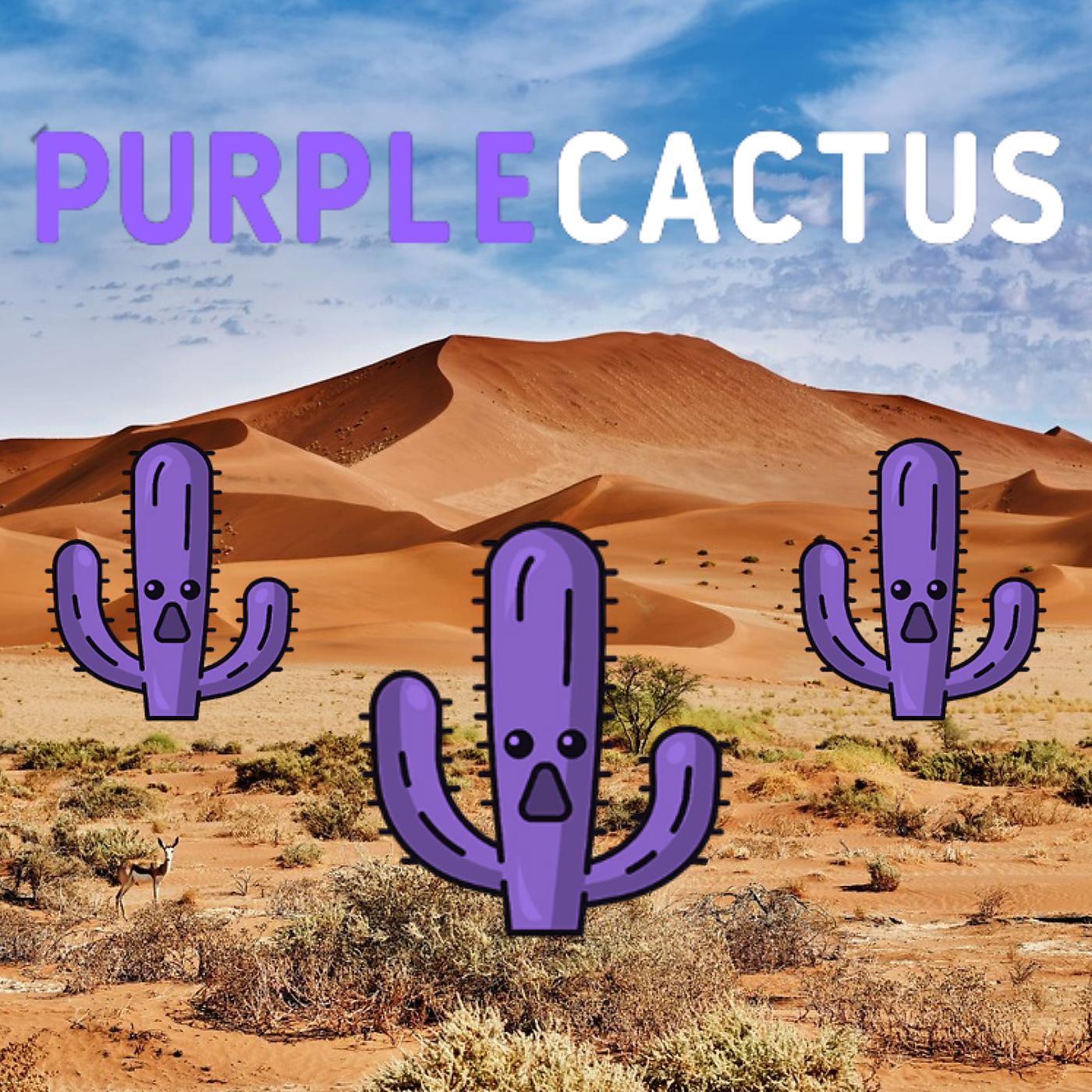 Постер альбома Cactus Violets (Instrumental Version)