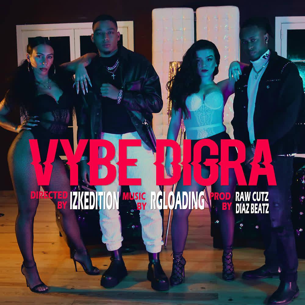 Постер альбома Vybe Digra