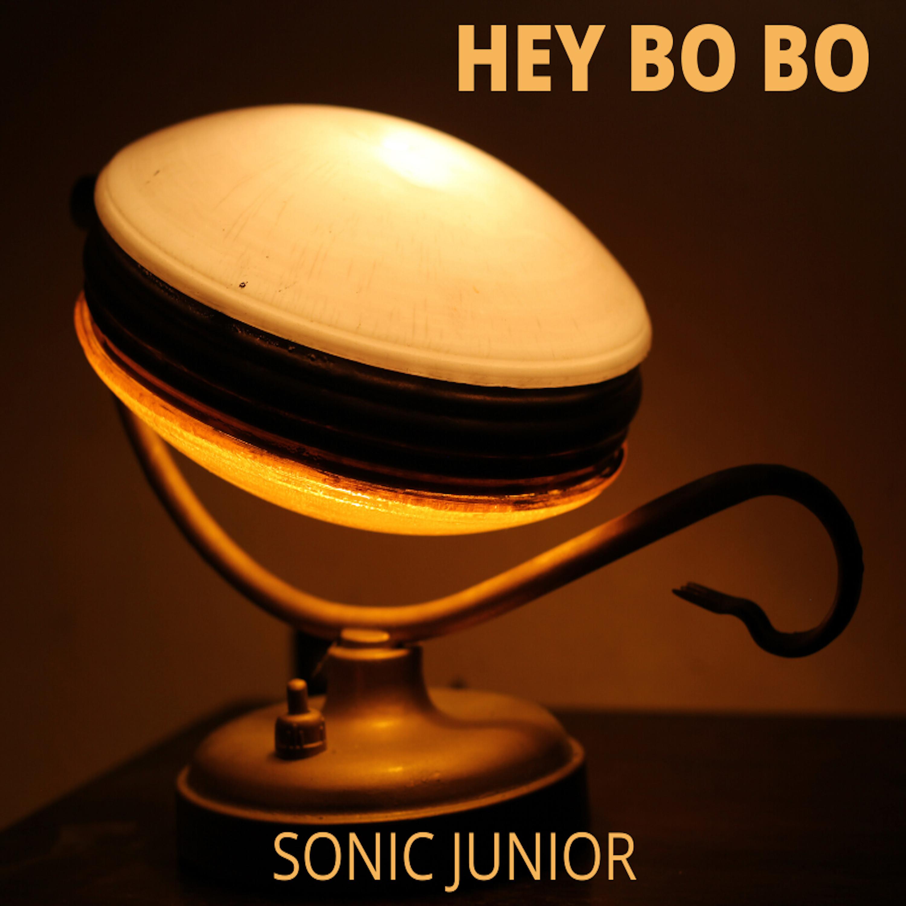 Постер альбома Hey Bo Bo