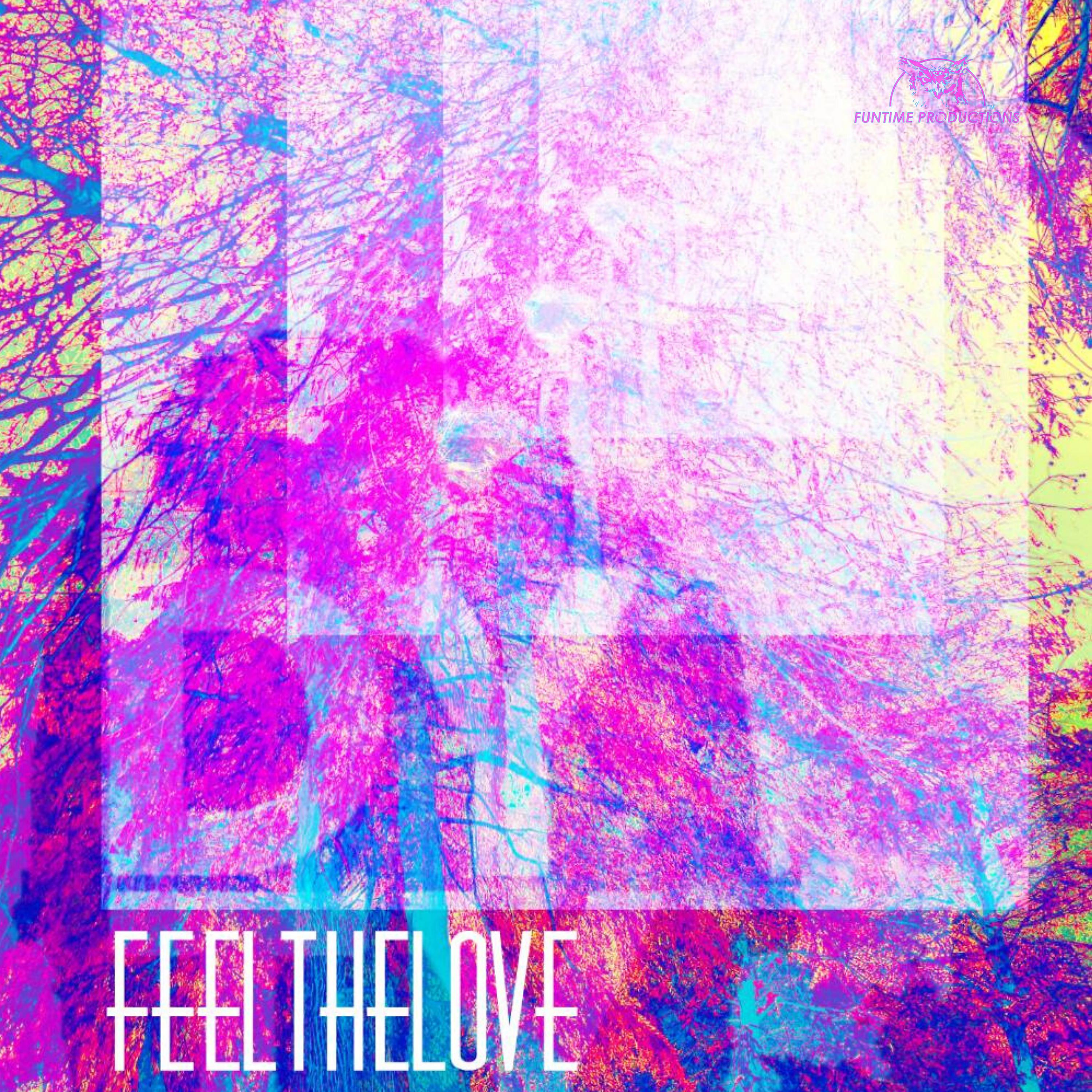 Постер альбома Feel the Love