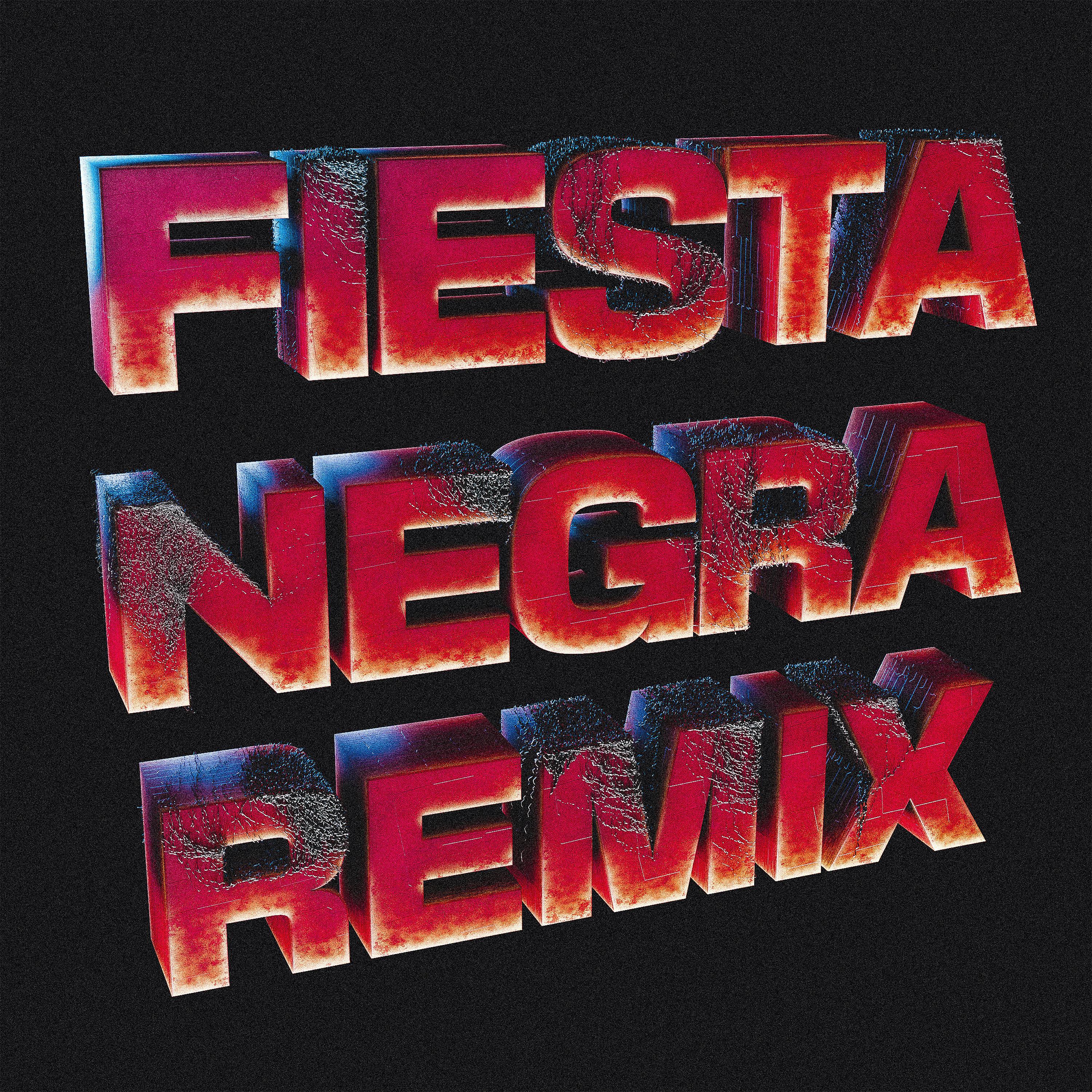 Постер альбома Fiesta Negra