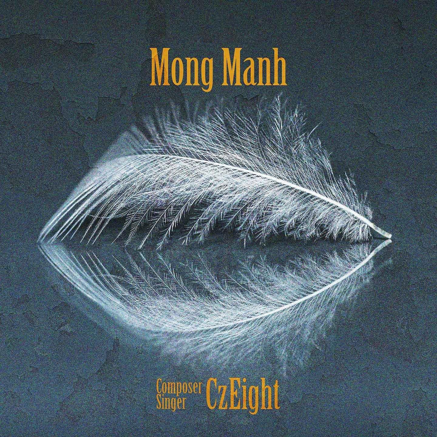 Постер альбома Mong Manh
