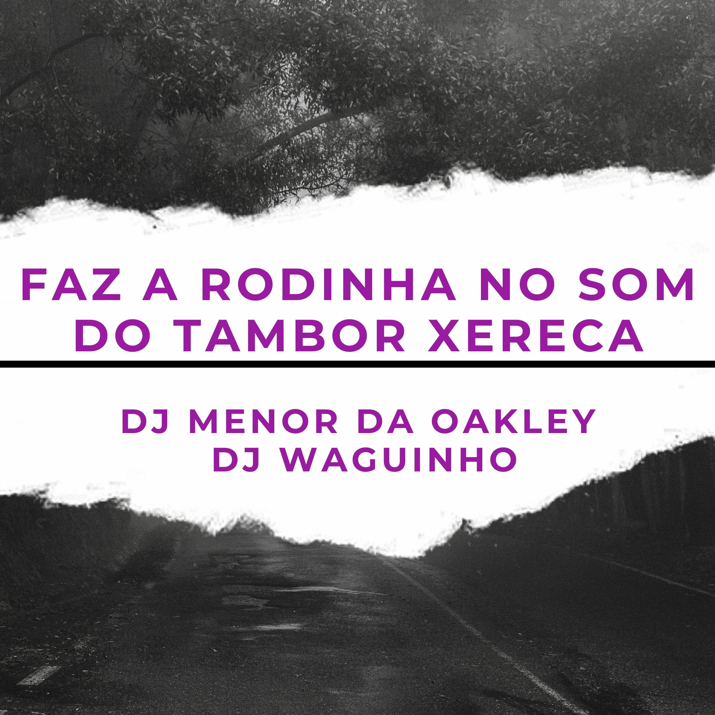 Постер альбома Faz a Rodinha no Som do Tambor Xereca
