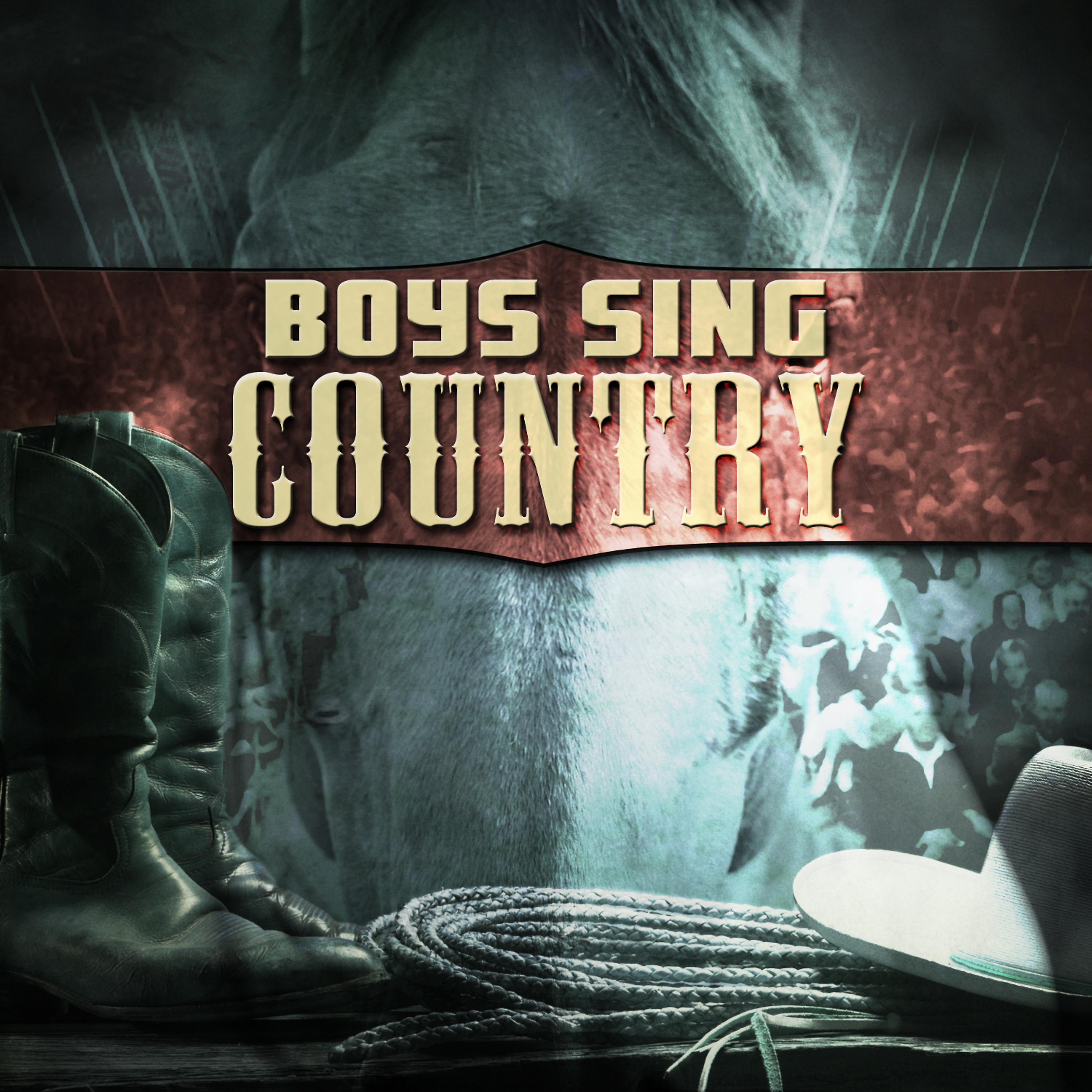 Постер альбома Boys Sing Country