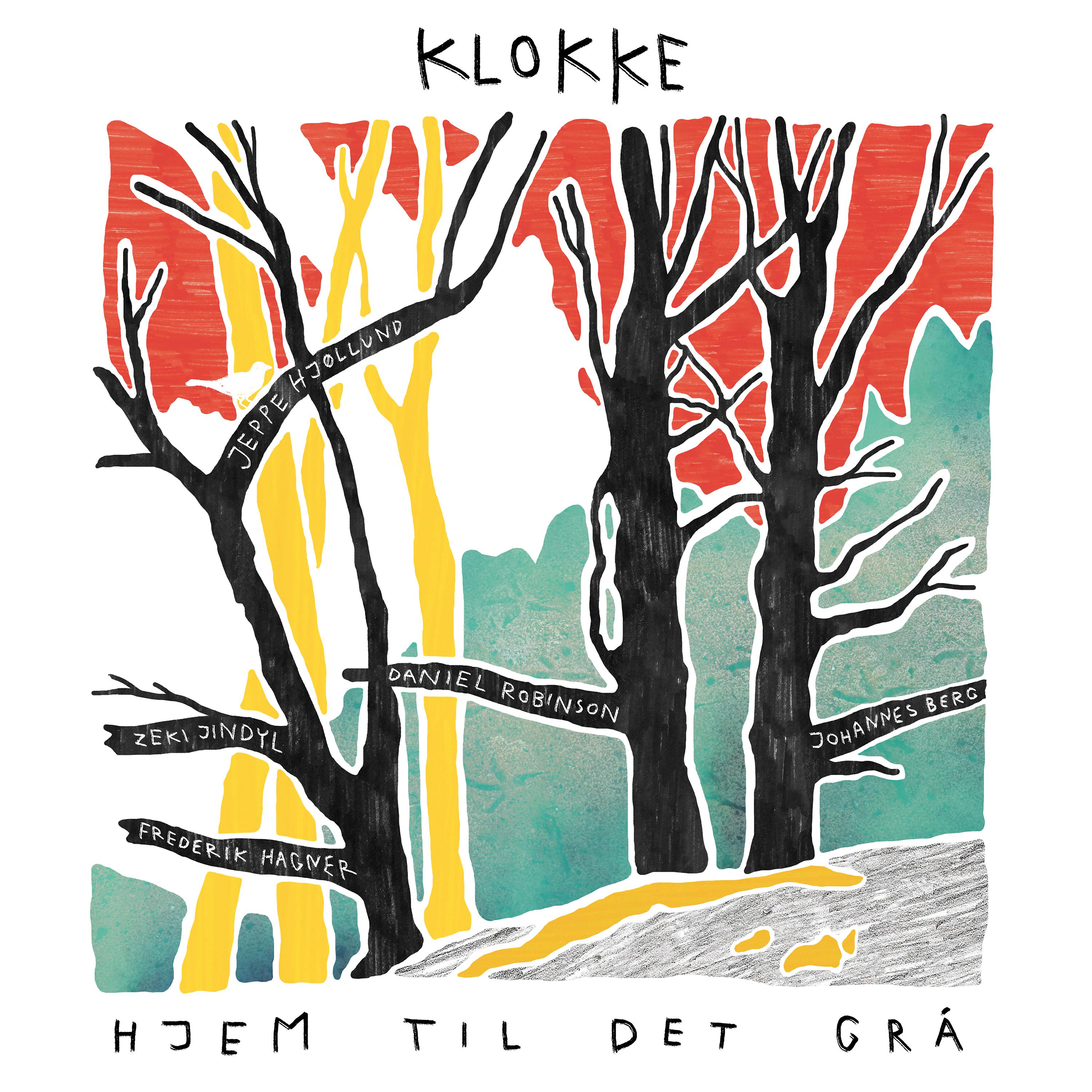 Постер альбома Hjem Til Det Grå