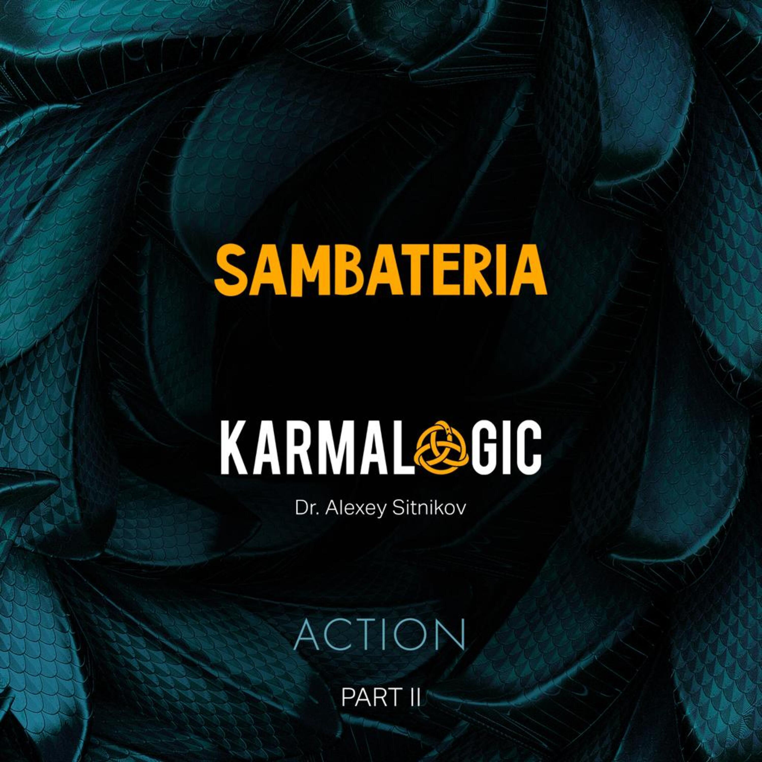 Постер альбома Karmalogic Action (Part II)