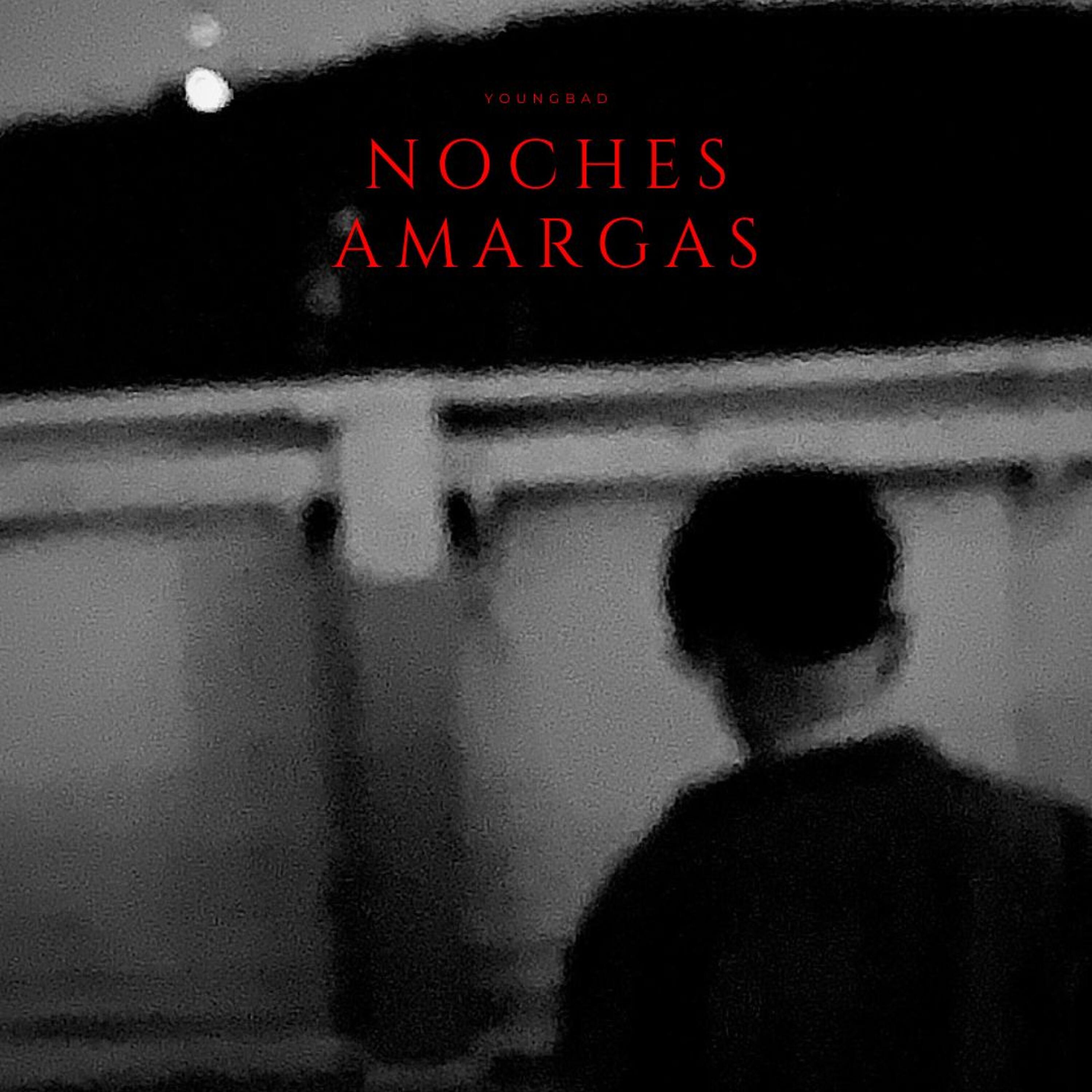 Постер альбома Noches Amargas