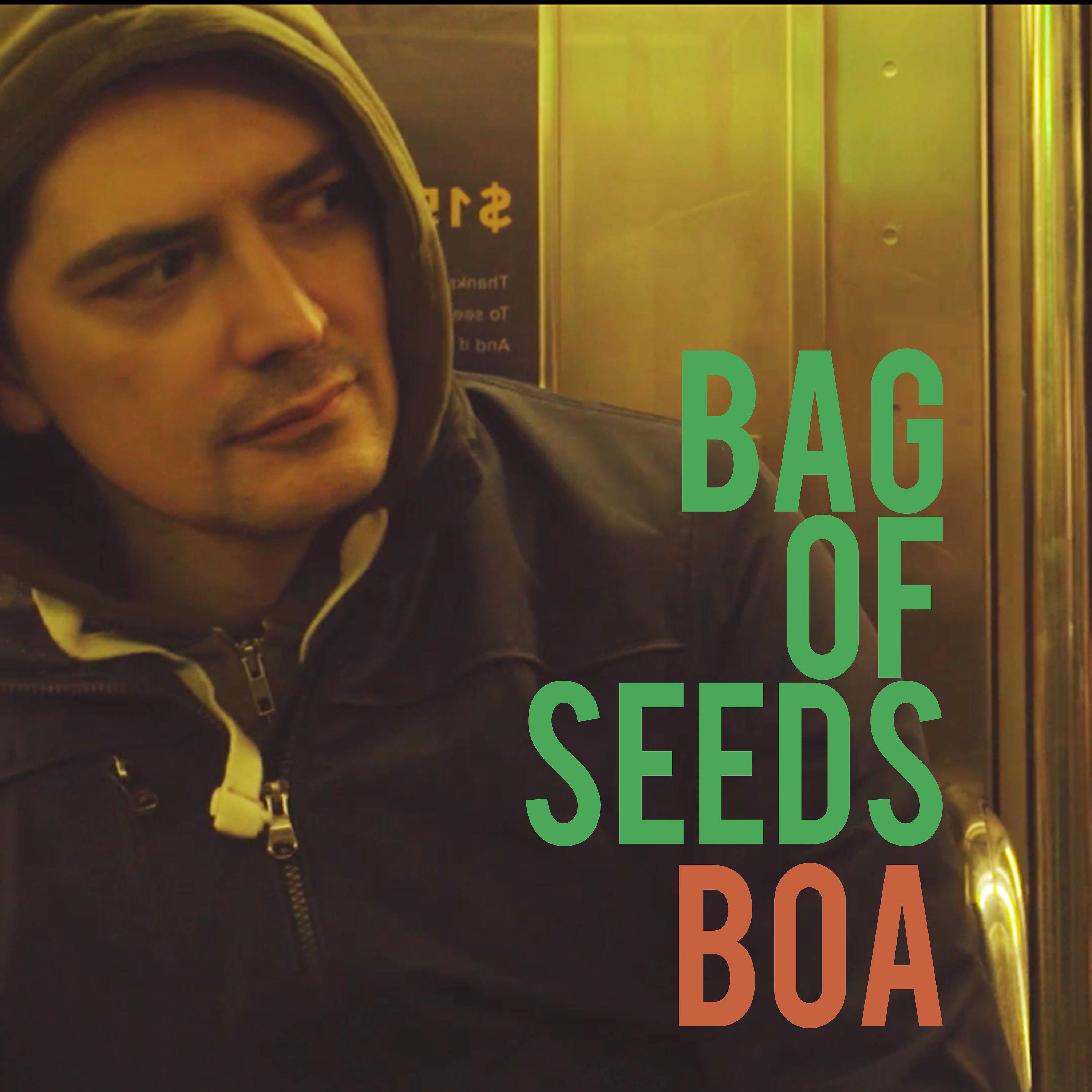 Постер альбома Bag of Seeds