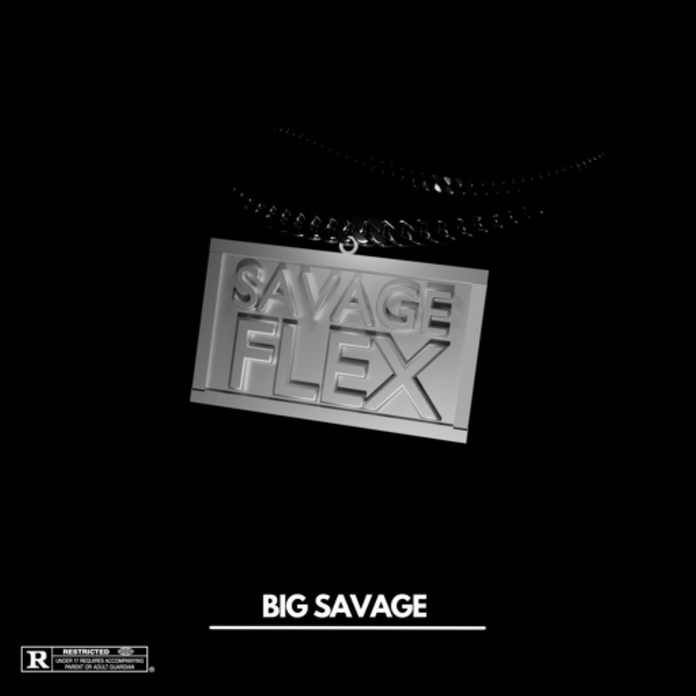 Постер альбома Savage Flex