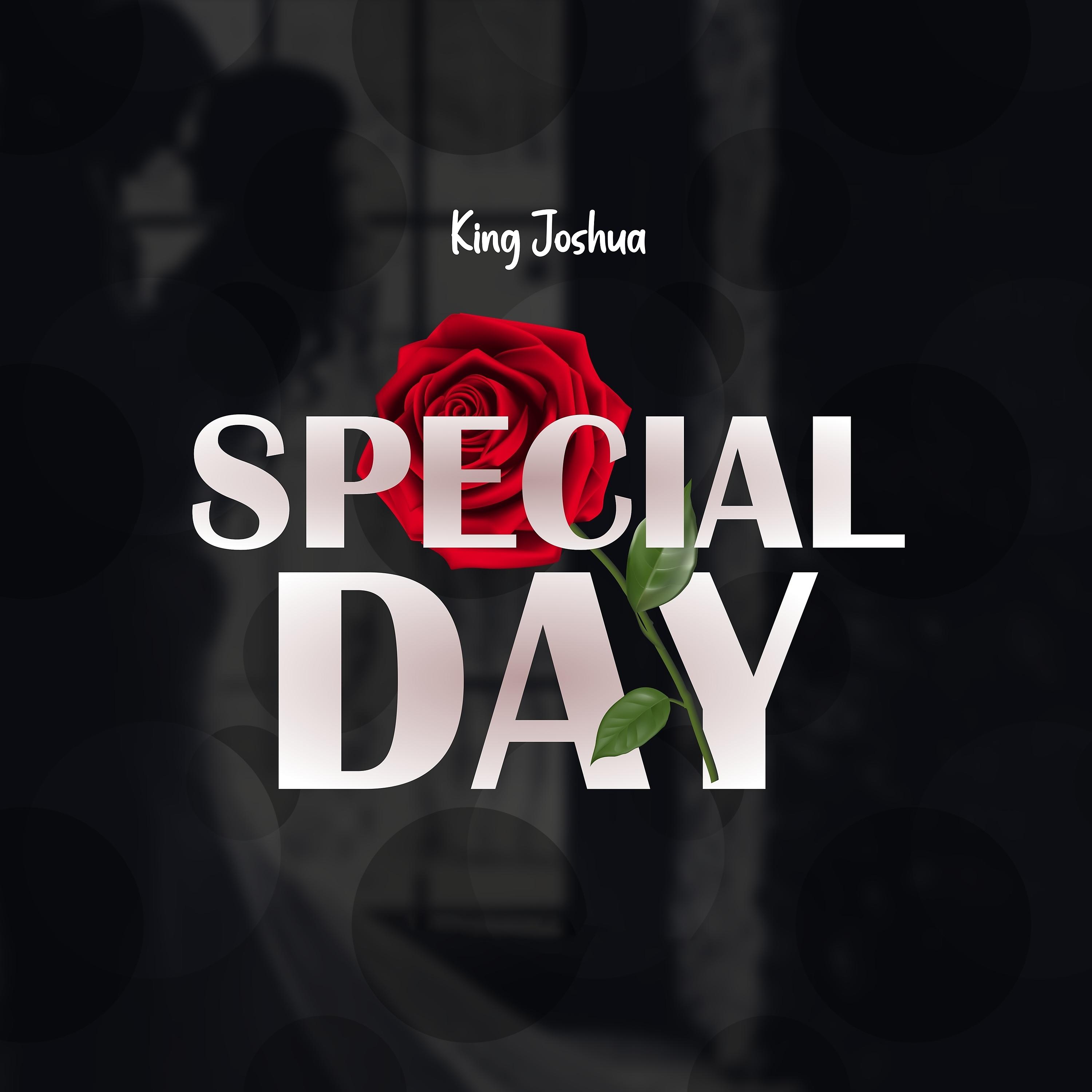Постер альбома Special Day