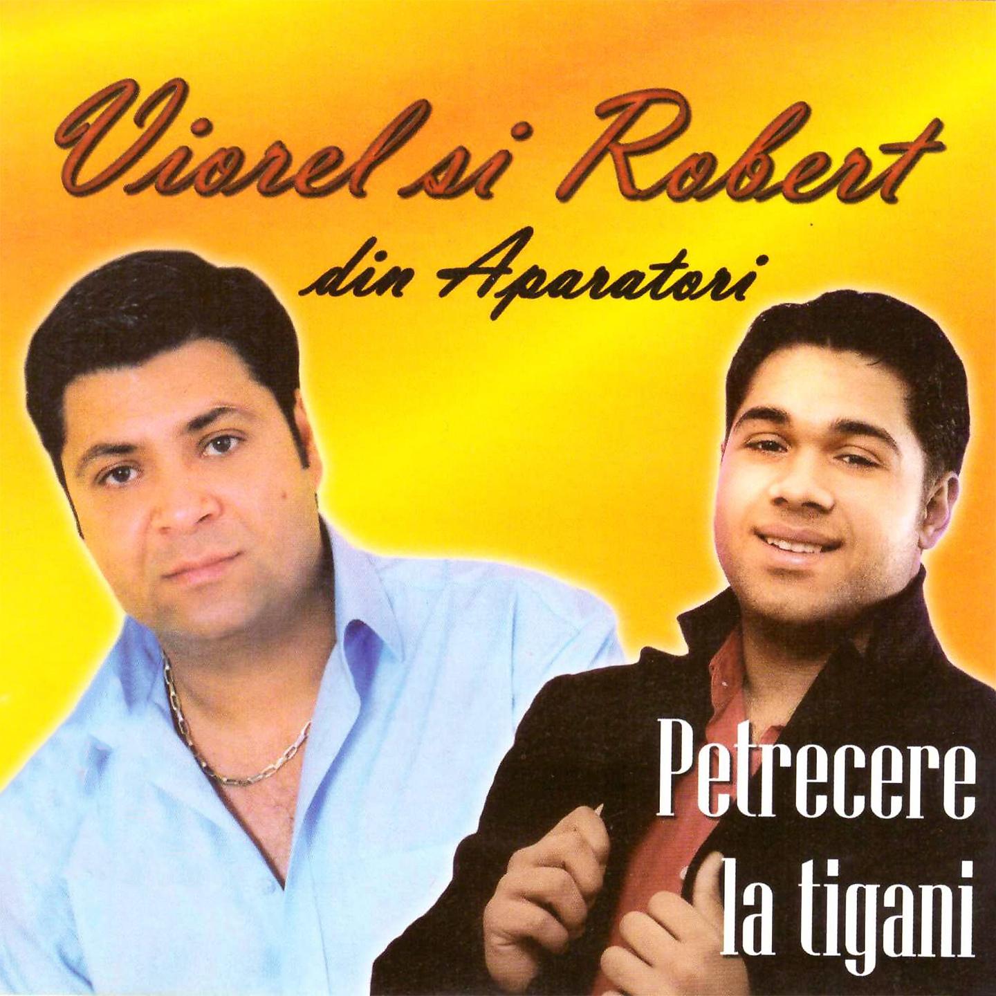 Постер альбома Petrecere La Tigani